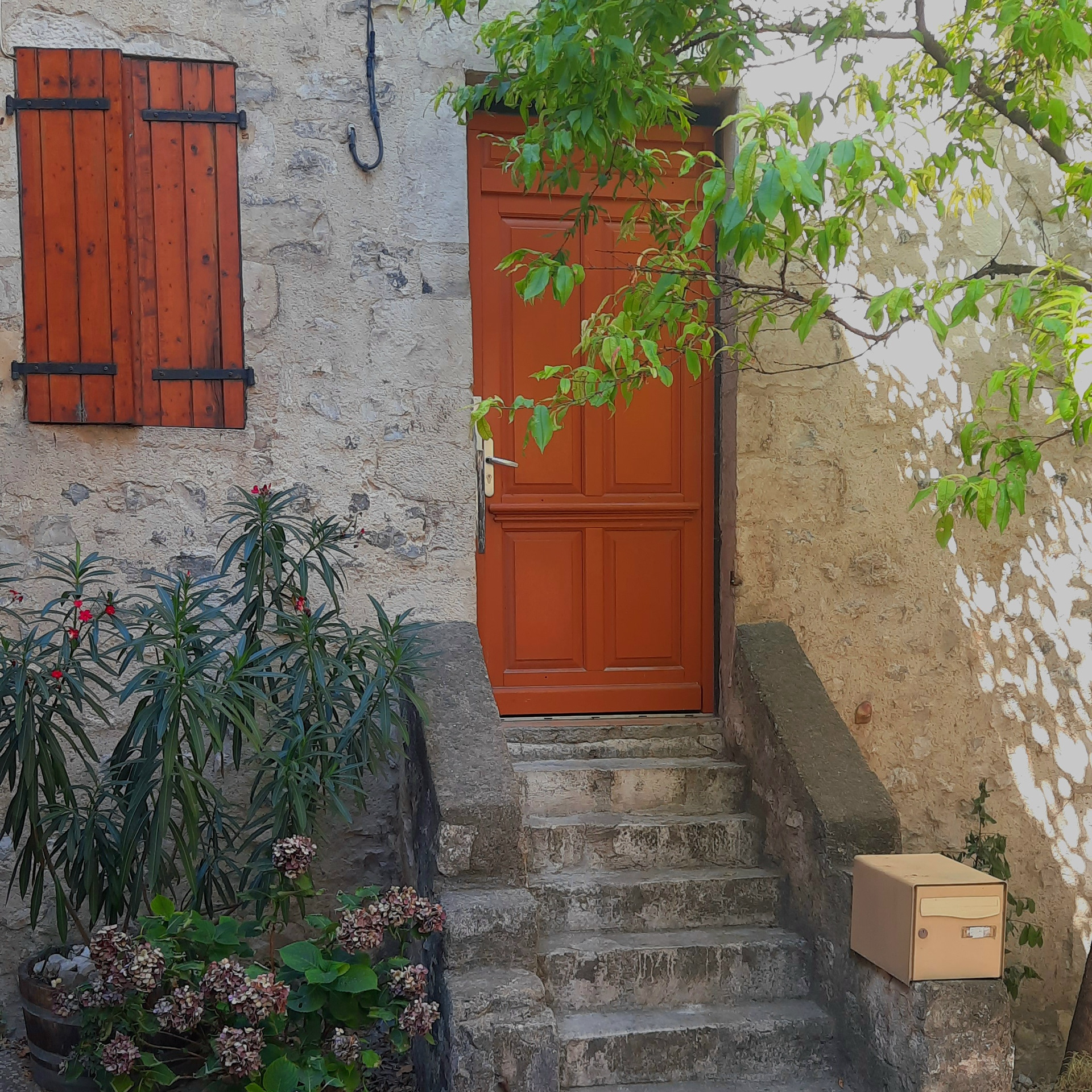 Quaint doors
