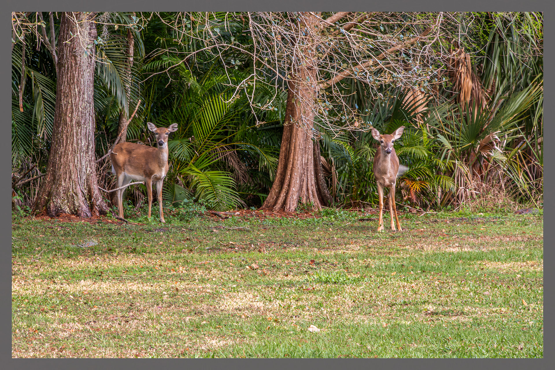Hobe Sound, FL
