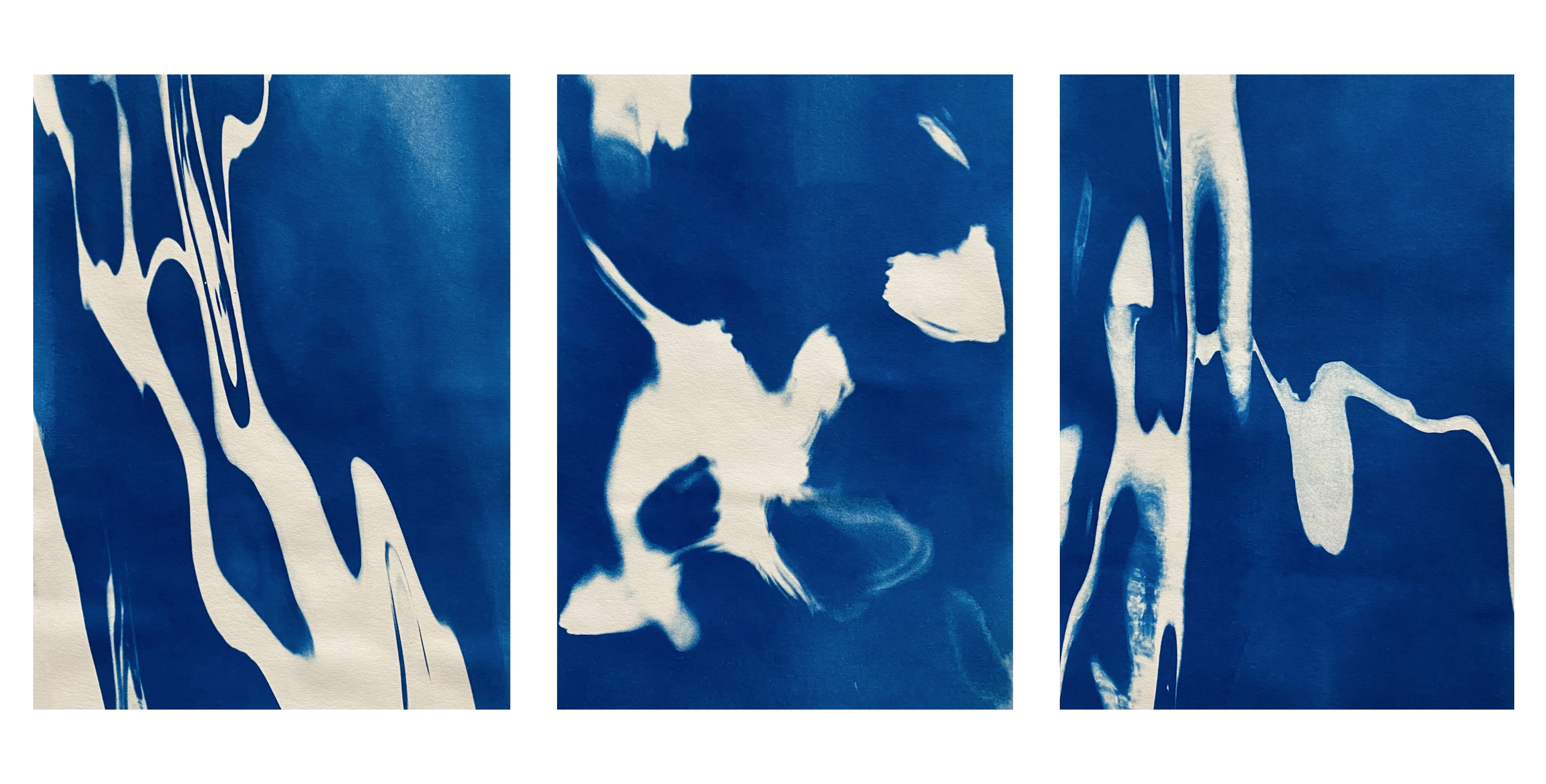 cyanotype triptych, 21 x 29,7 cm, 2024