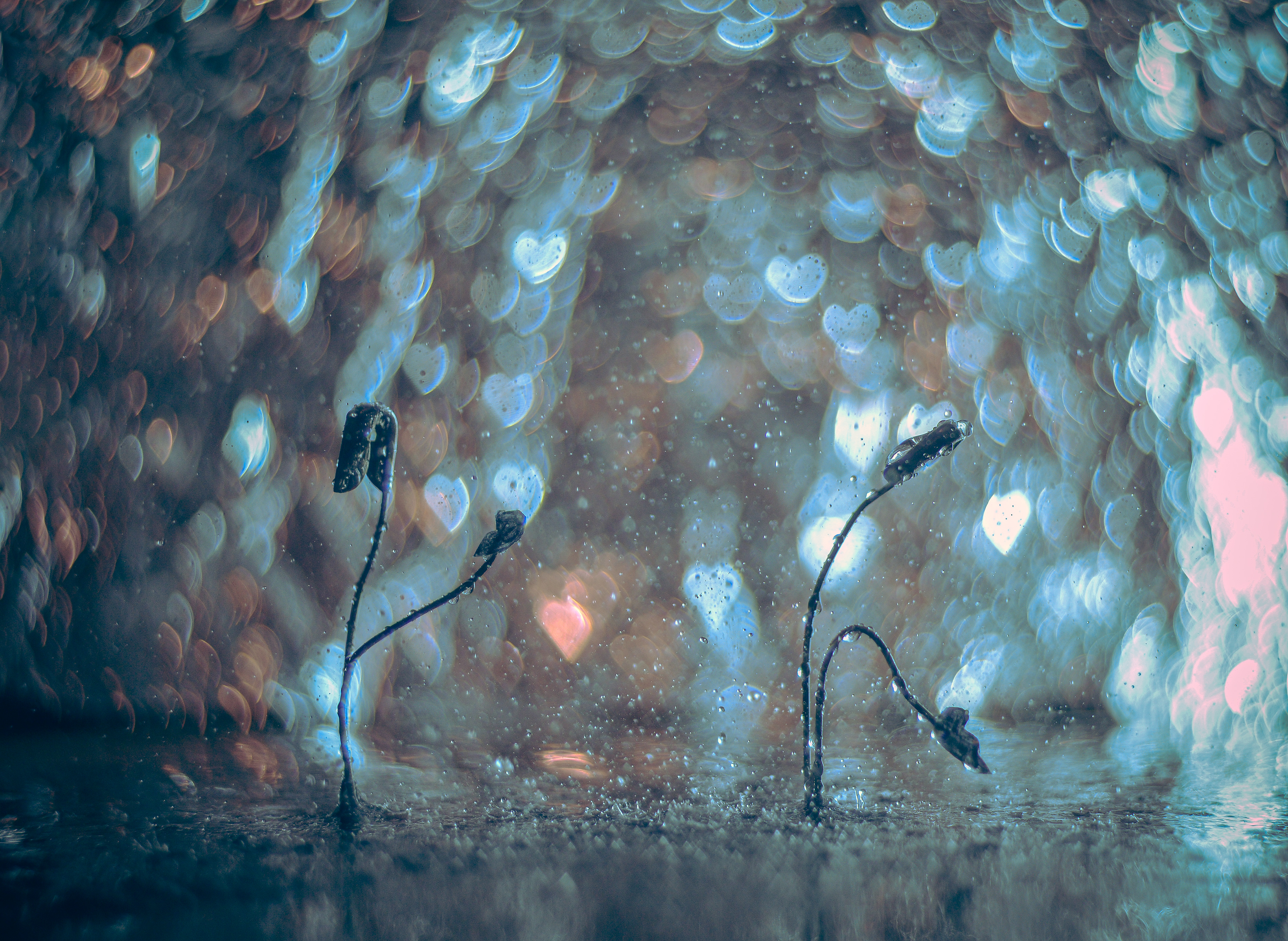 Pins Photography  Photography & Edit : Arman Abbasi Direction : Ariuo Studio​​​​​​​