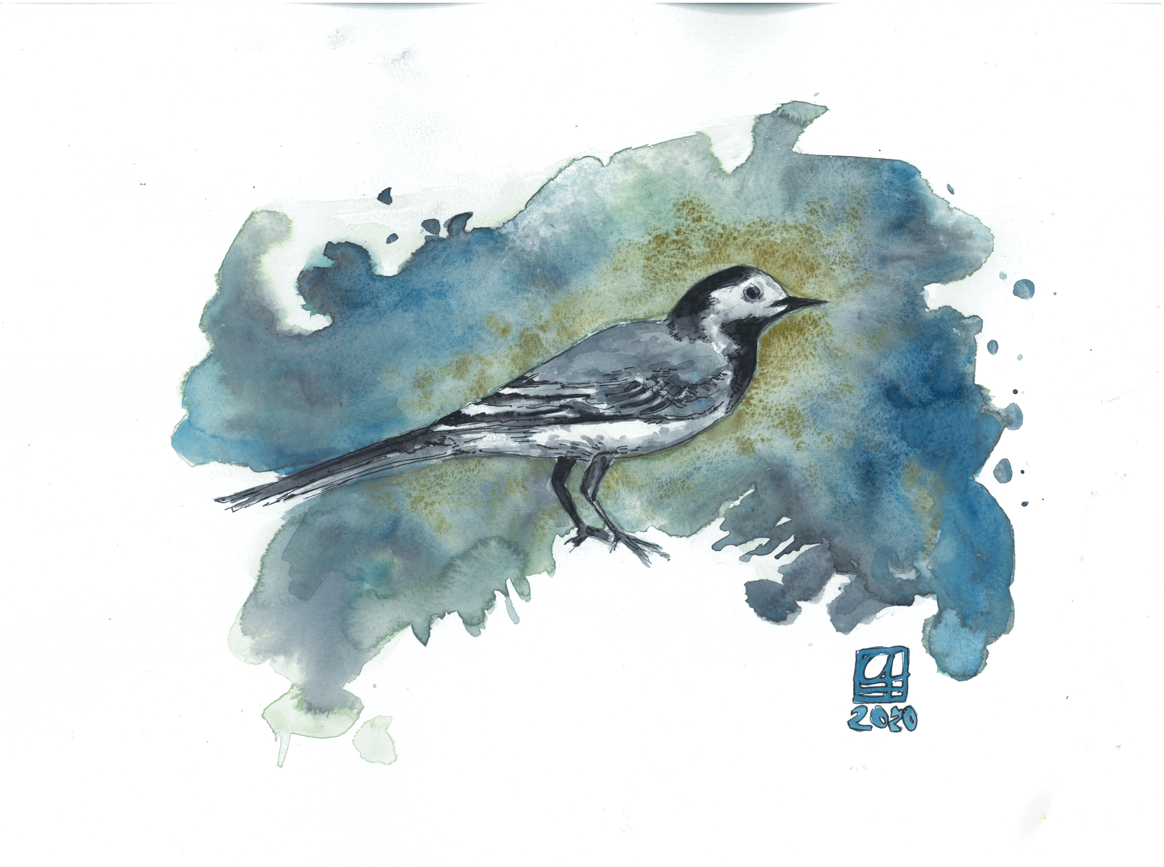 Bachstelze (42x30) - verkauft