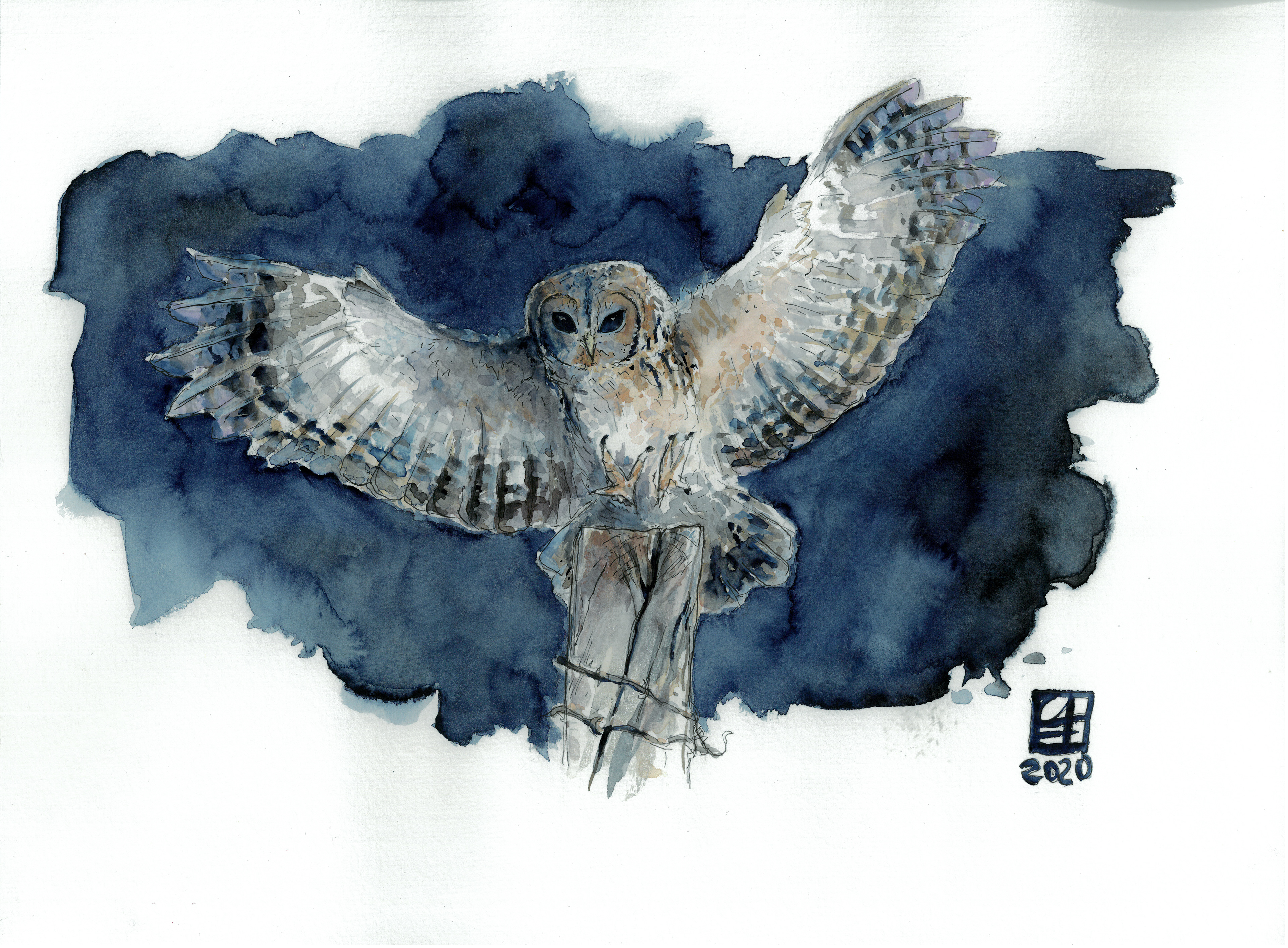Eule (40x30) - verkauft
