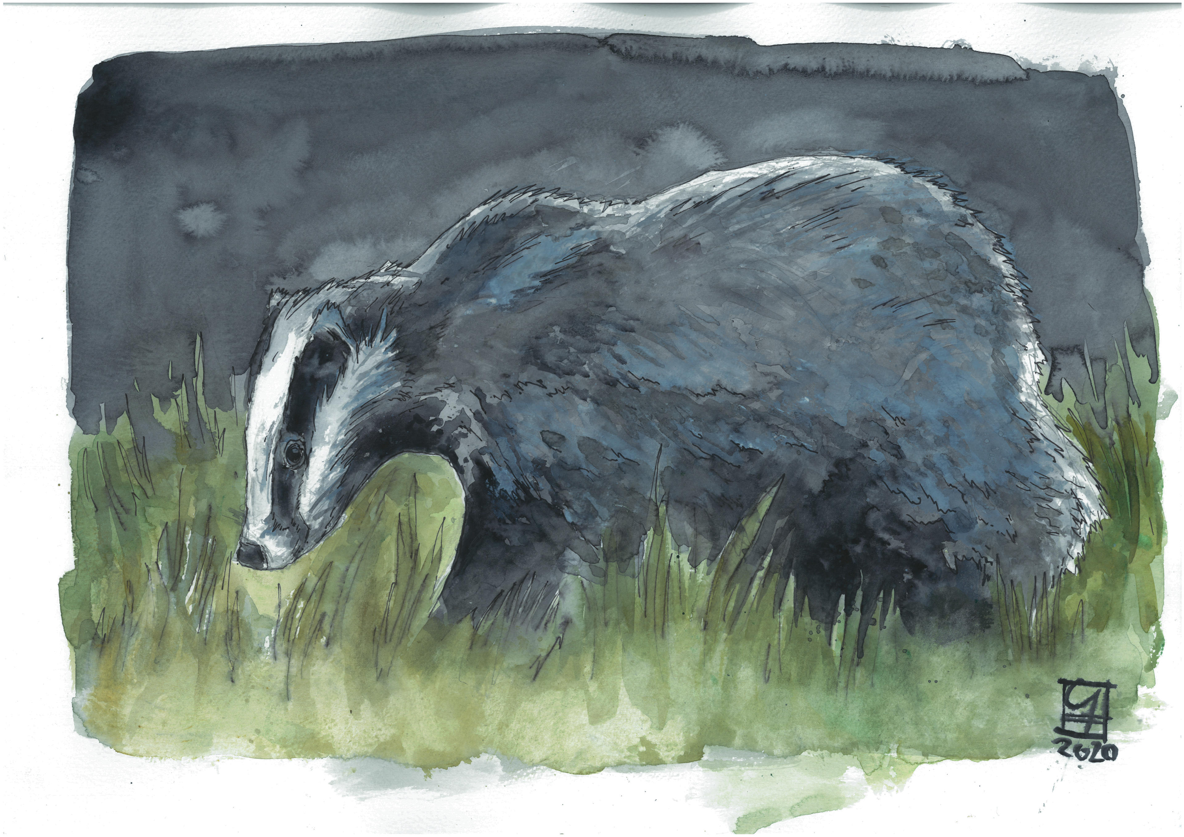 Dachs (42x30) - verkauft