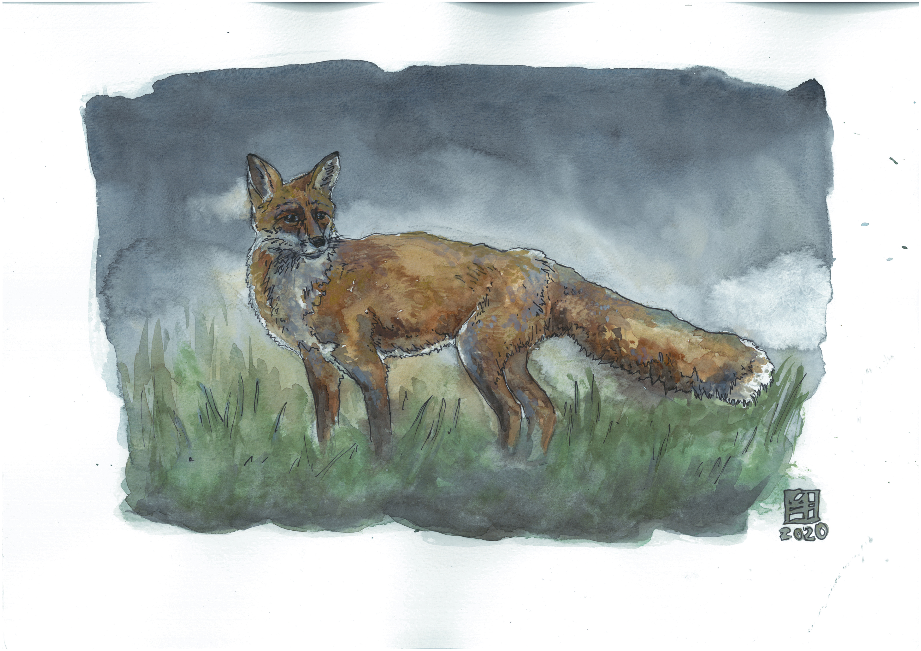Fuchs (42x30) verkauft