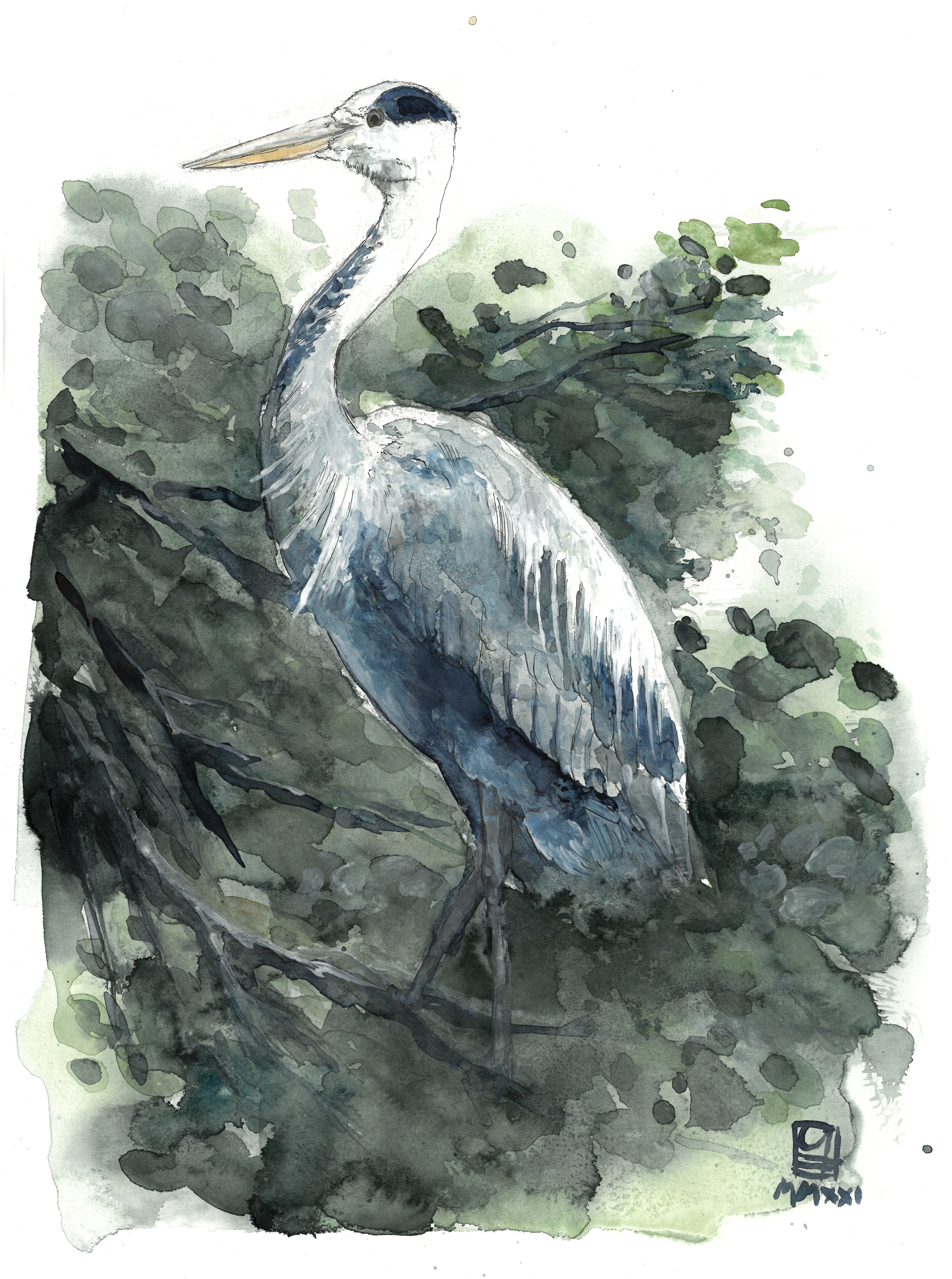 Graureiher (30x40)