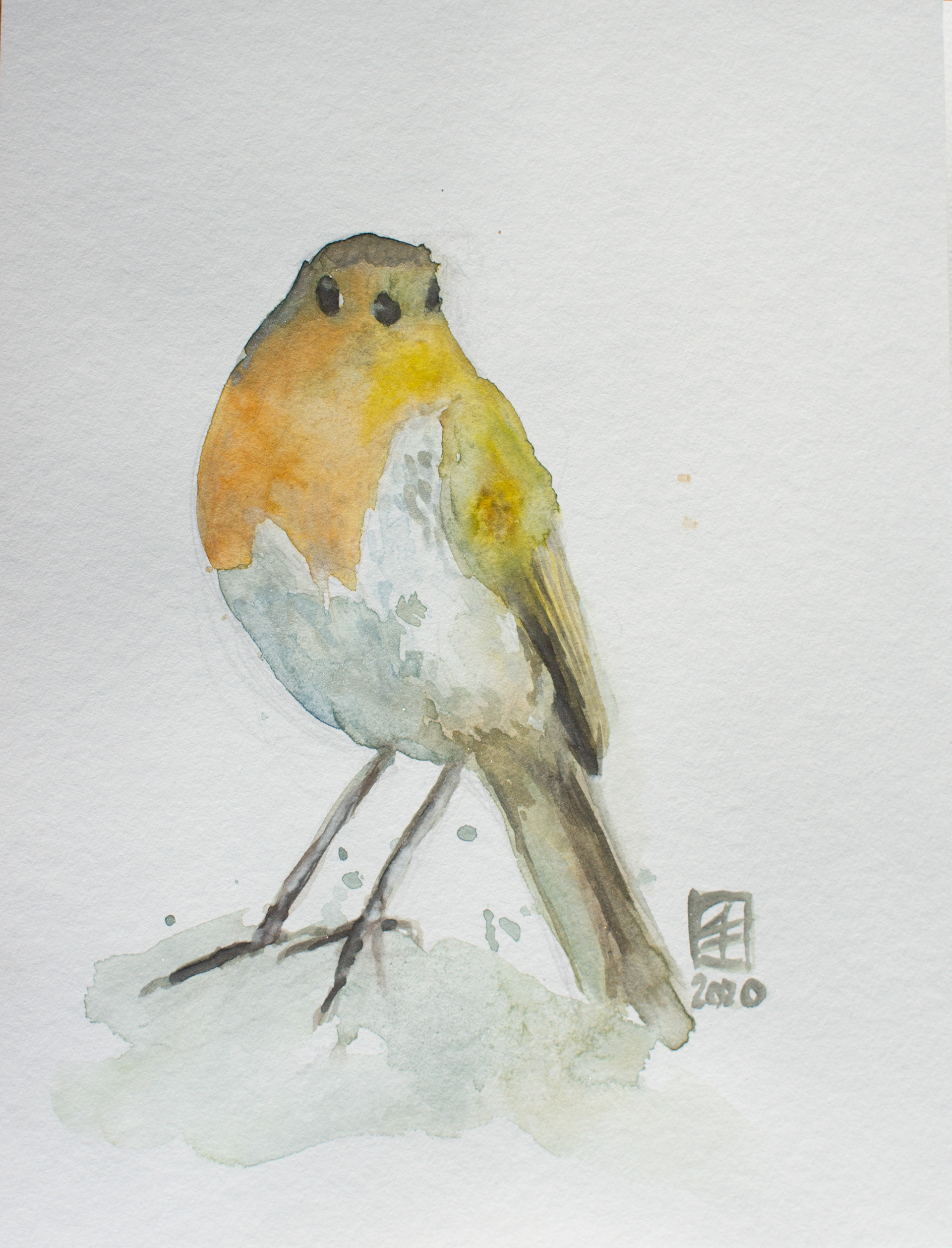 Rotkehlchen I (19x24)
