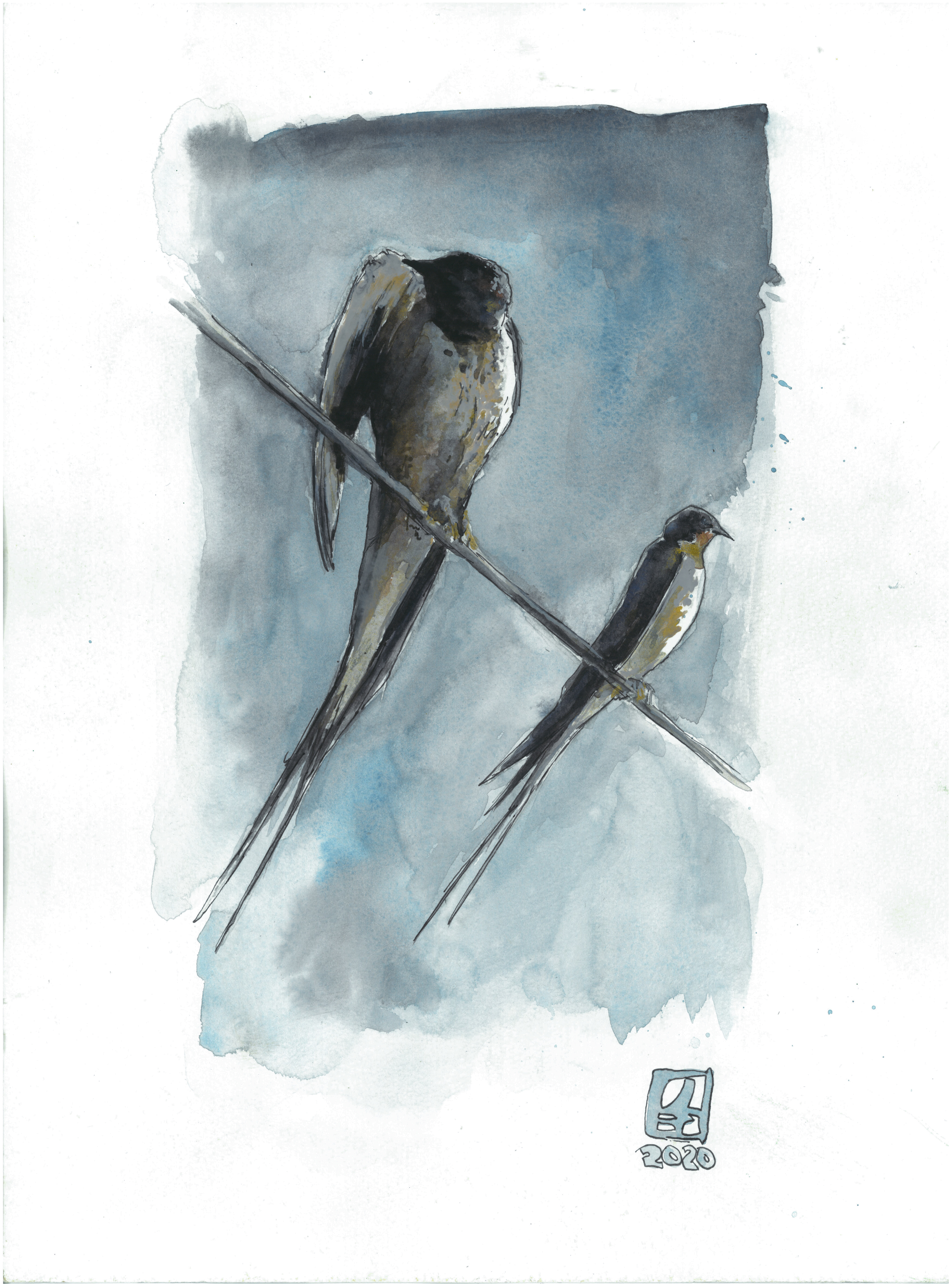 Rauchschwalben (30x42) - verkauft