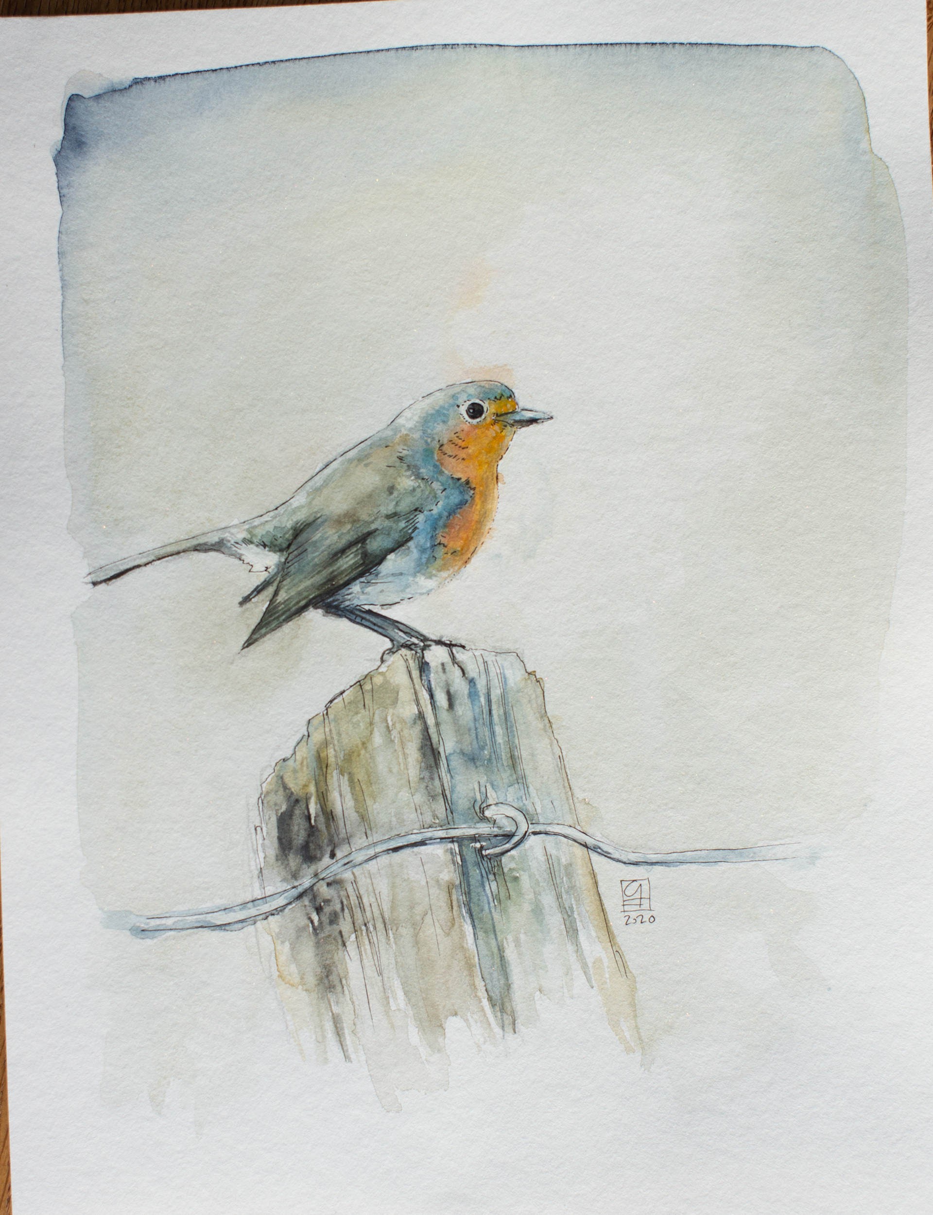Rotkehlchen II (19x24)