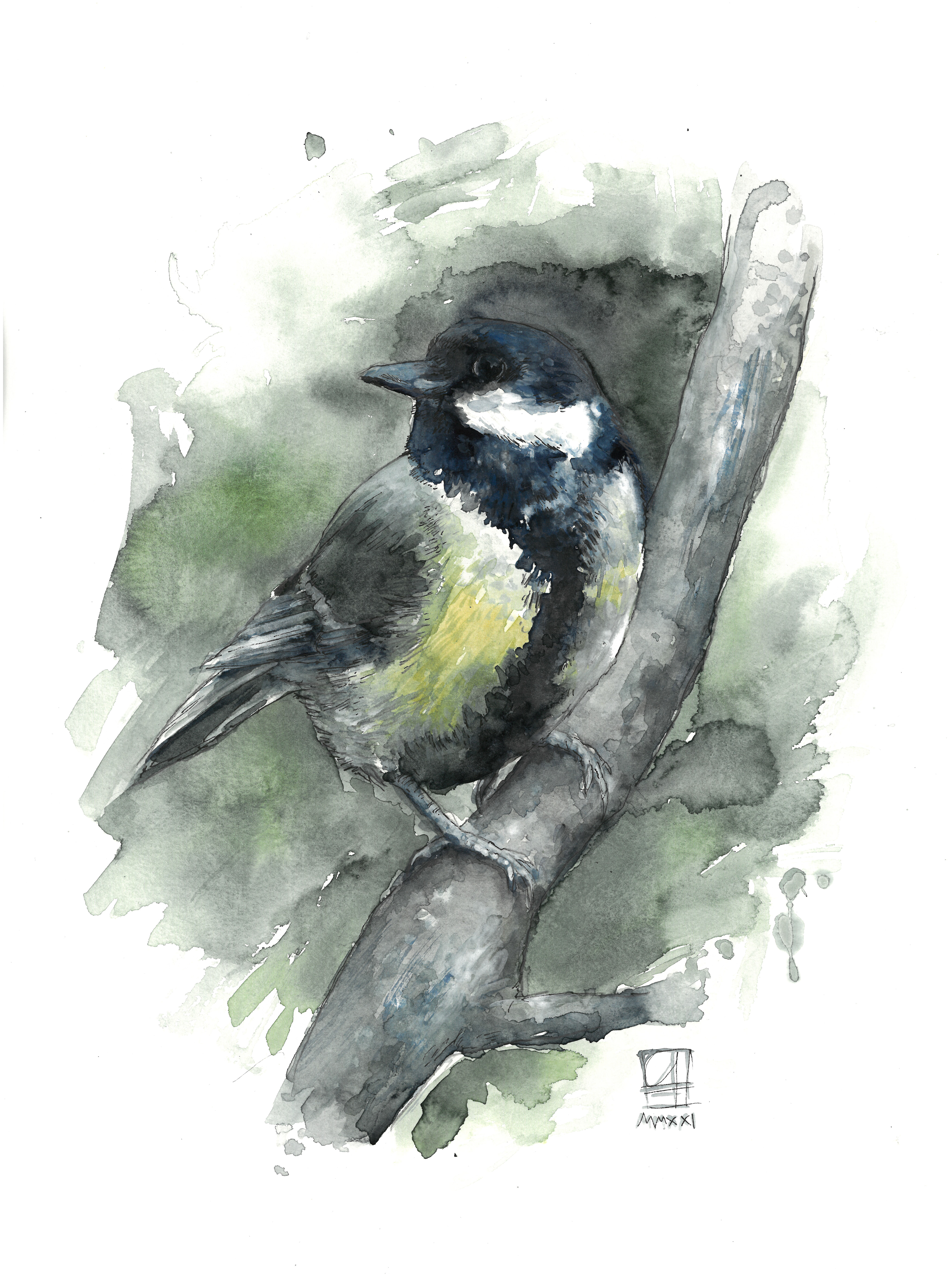 Kohlmeise (30x40)