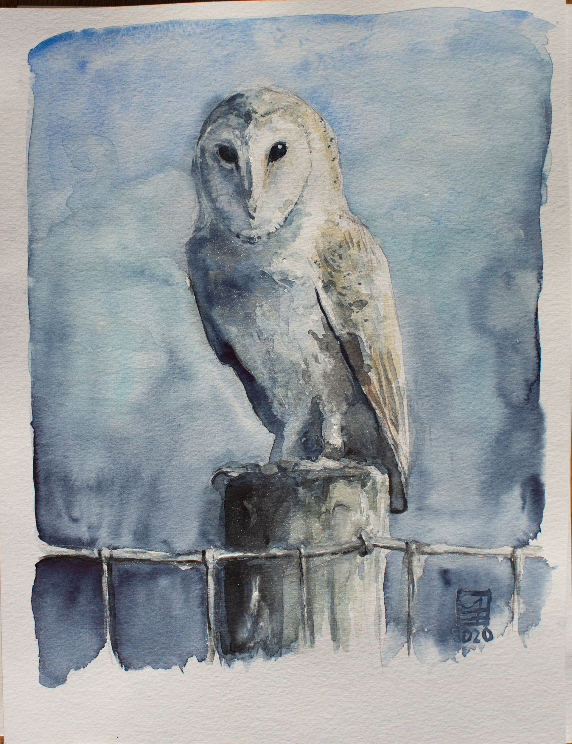 Barnowl (30x40)