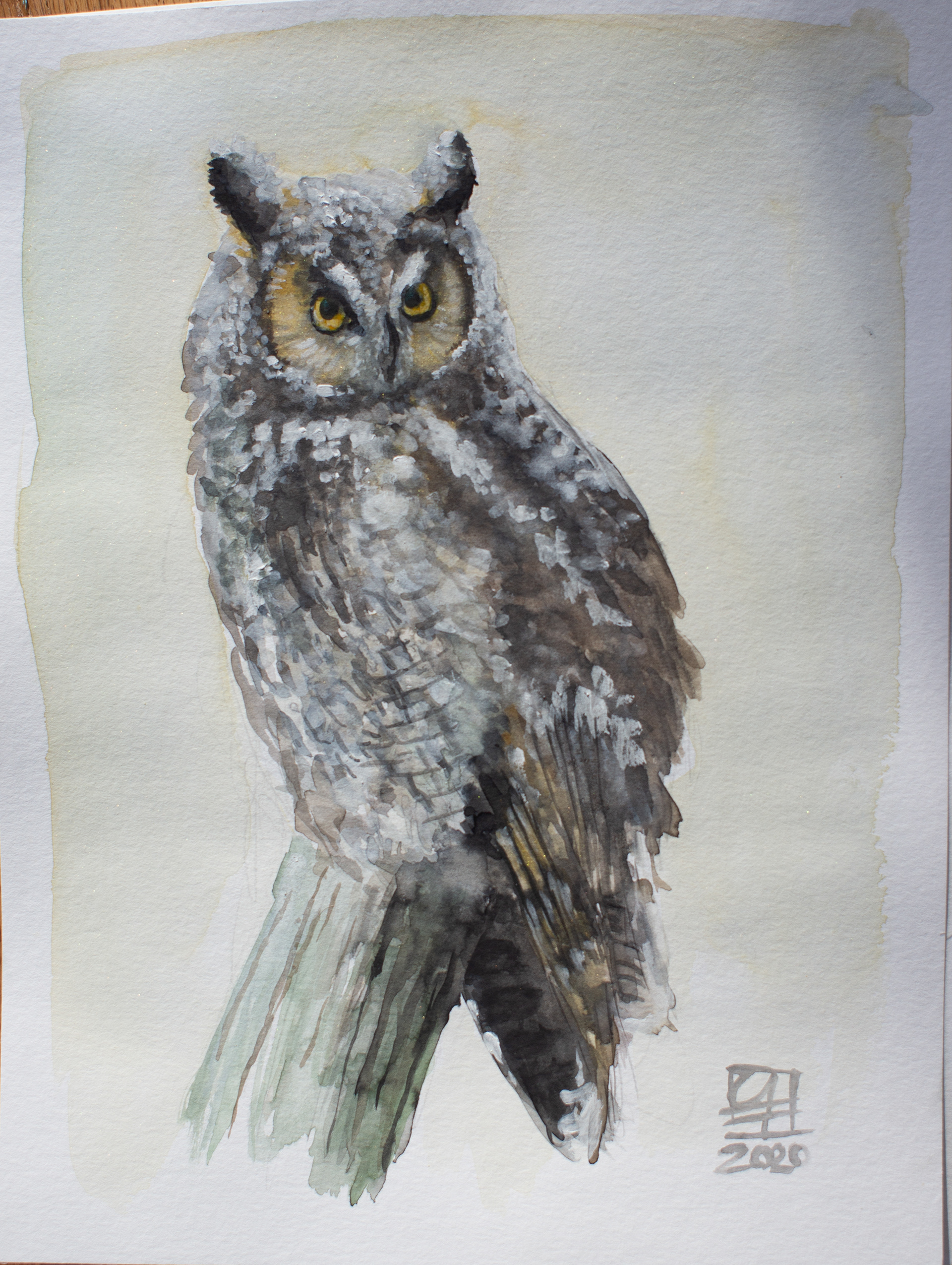 Uhu (30x40)