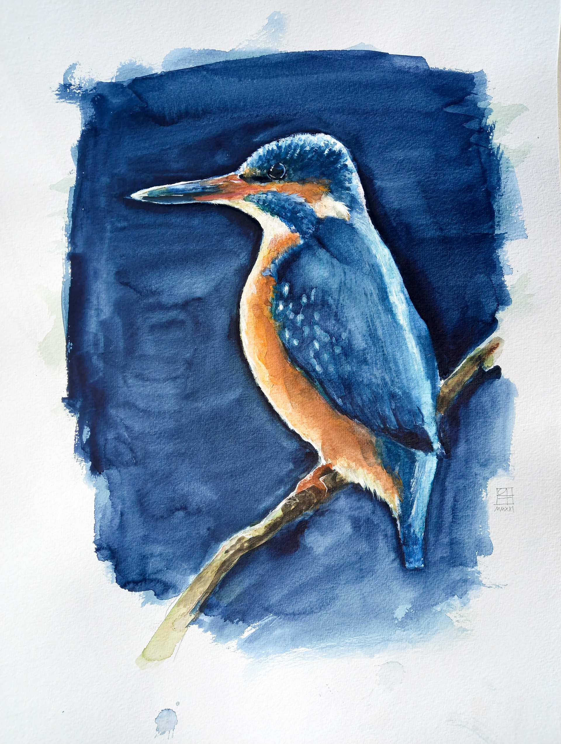 Eisvogel (43x56)