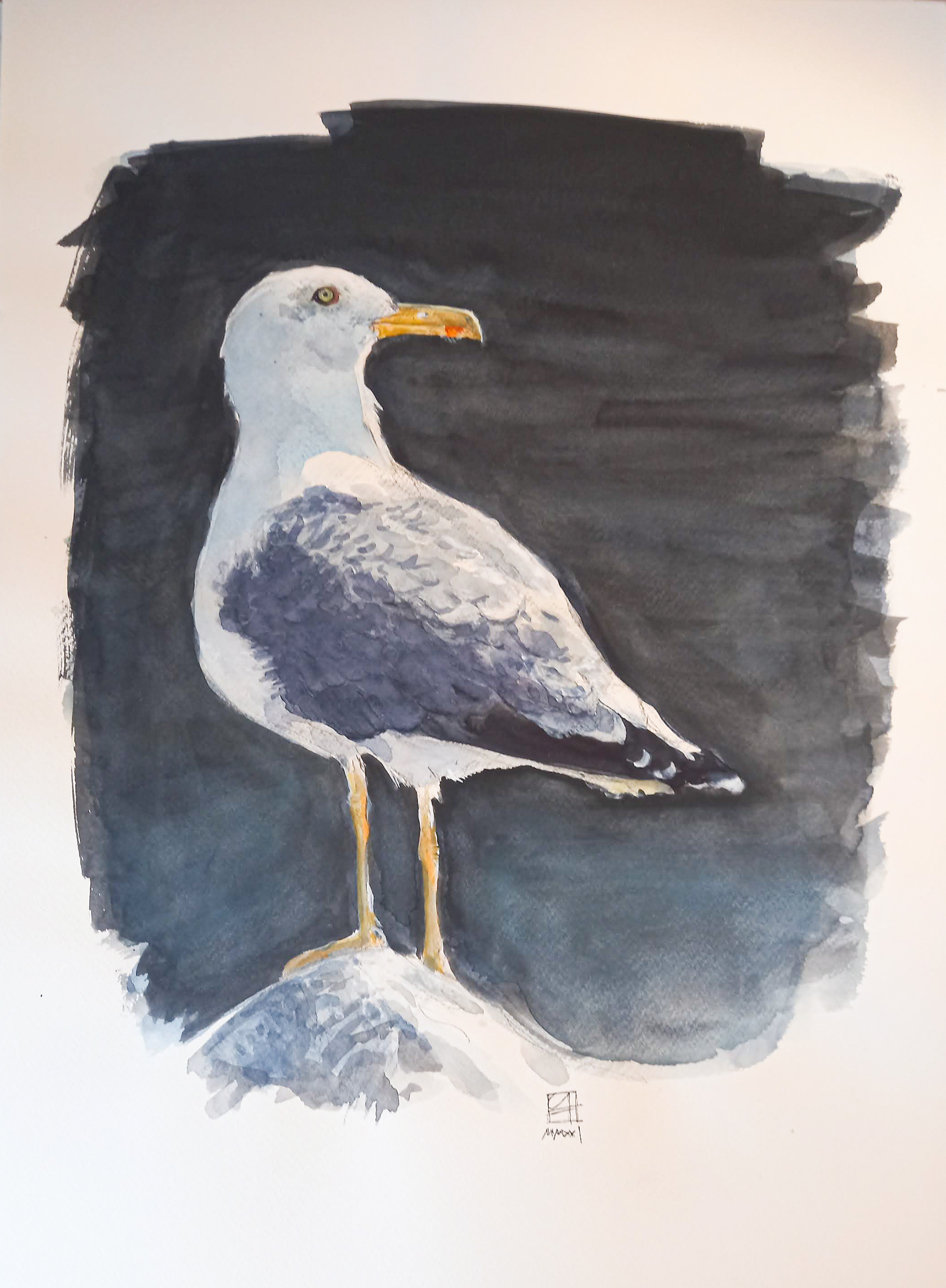 Möwe (36x48)
