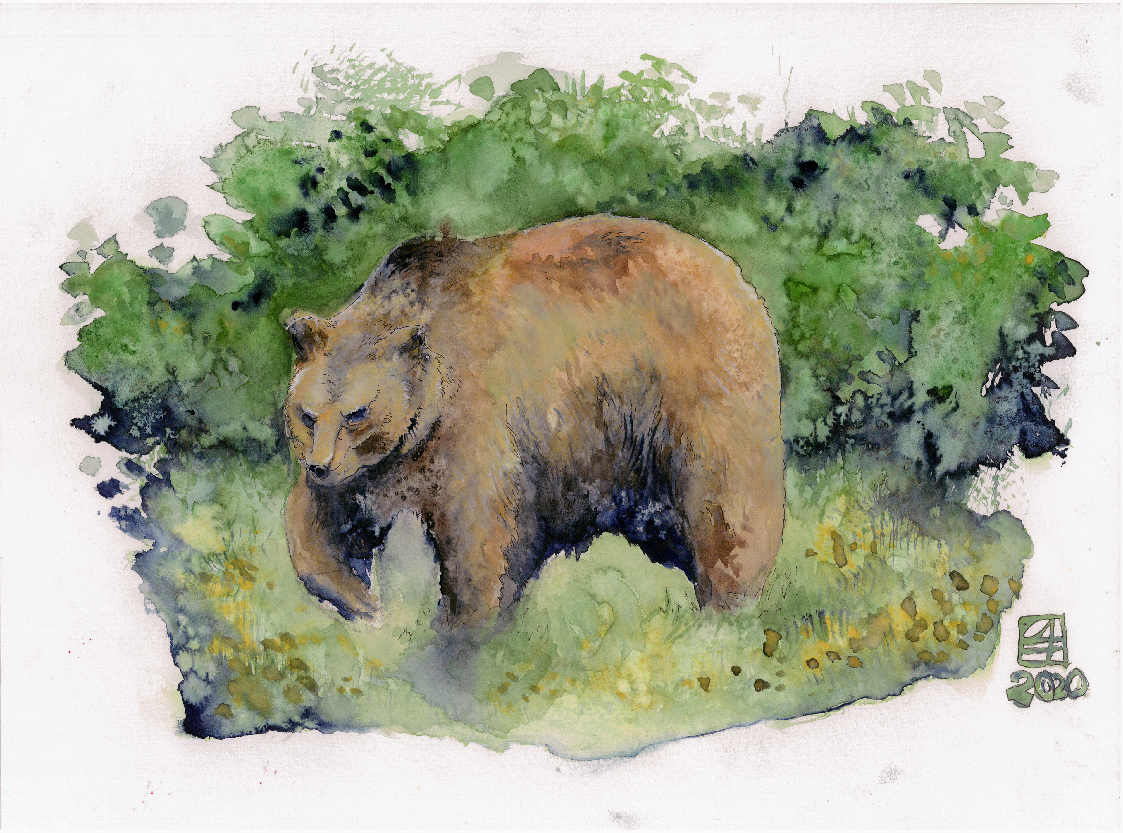 Bär (40x30)