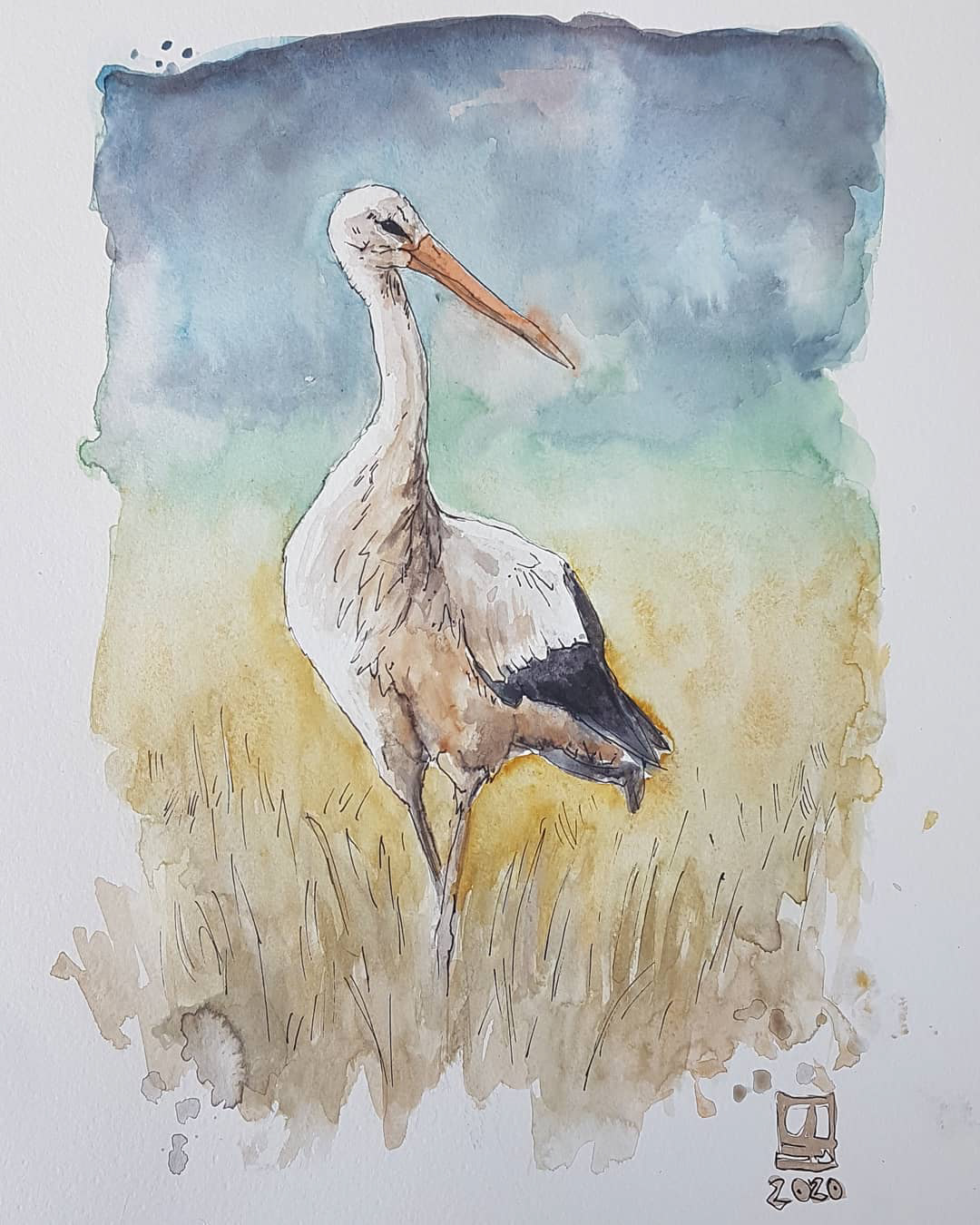 Storch (30x42) - verkauft