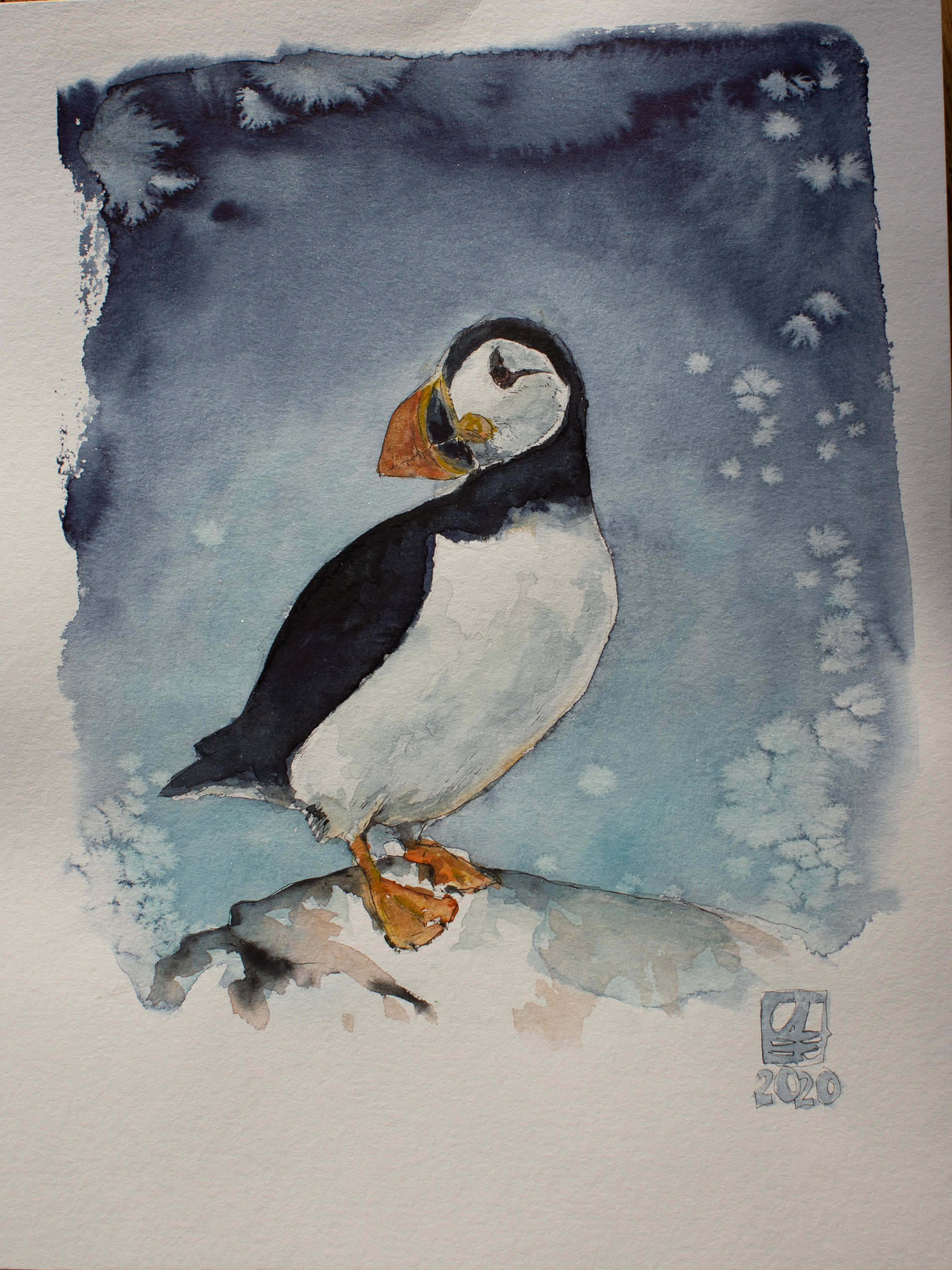Puffin (30x40)