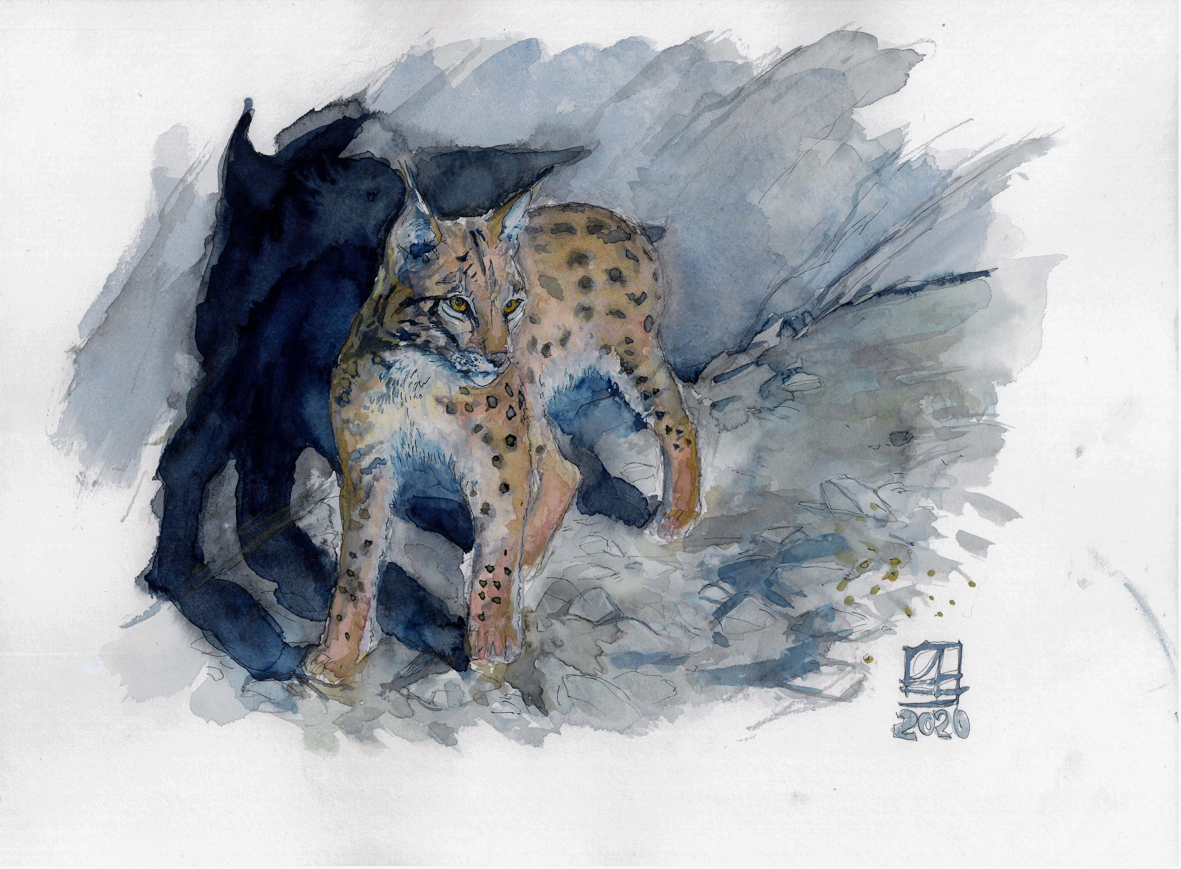 Luchs (40x30)
