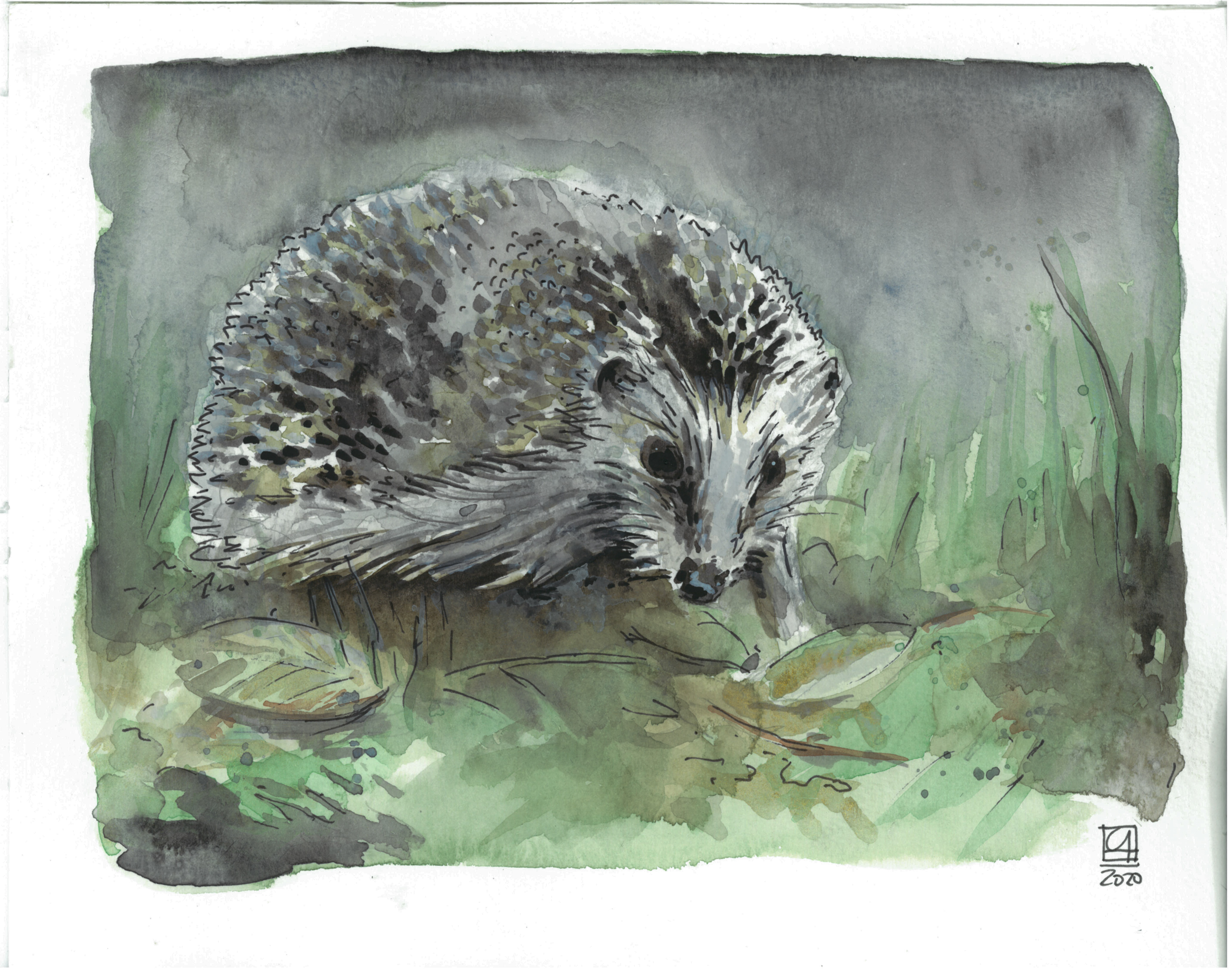 Igel (24x19) - verkauft