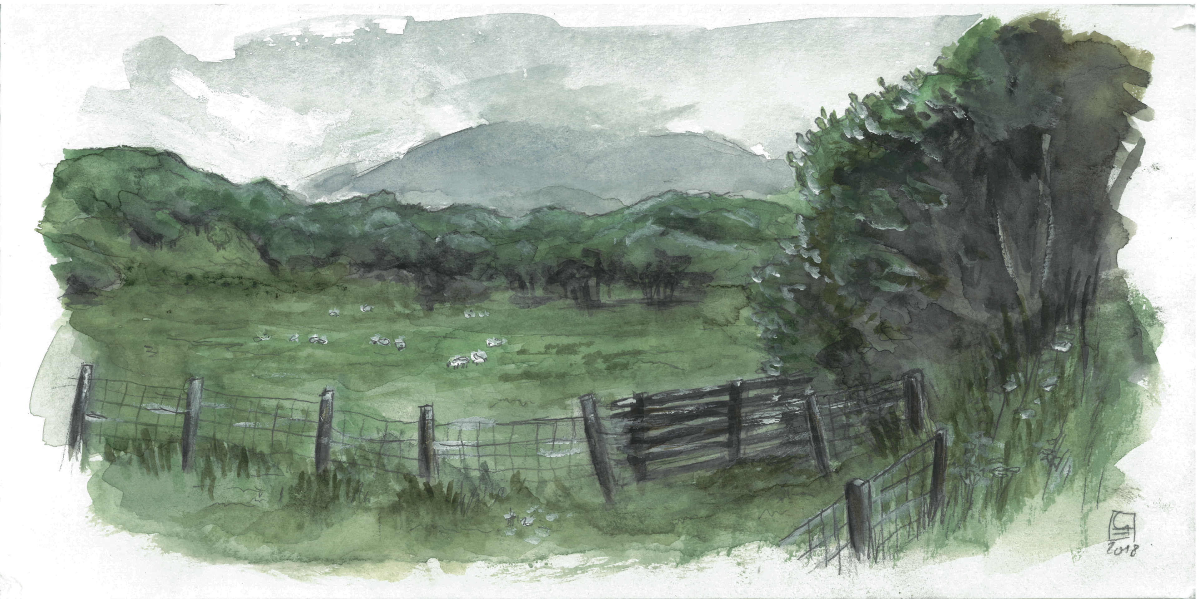 Schafwiese (30x15) - verkauft