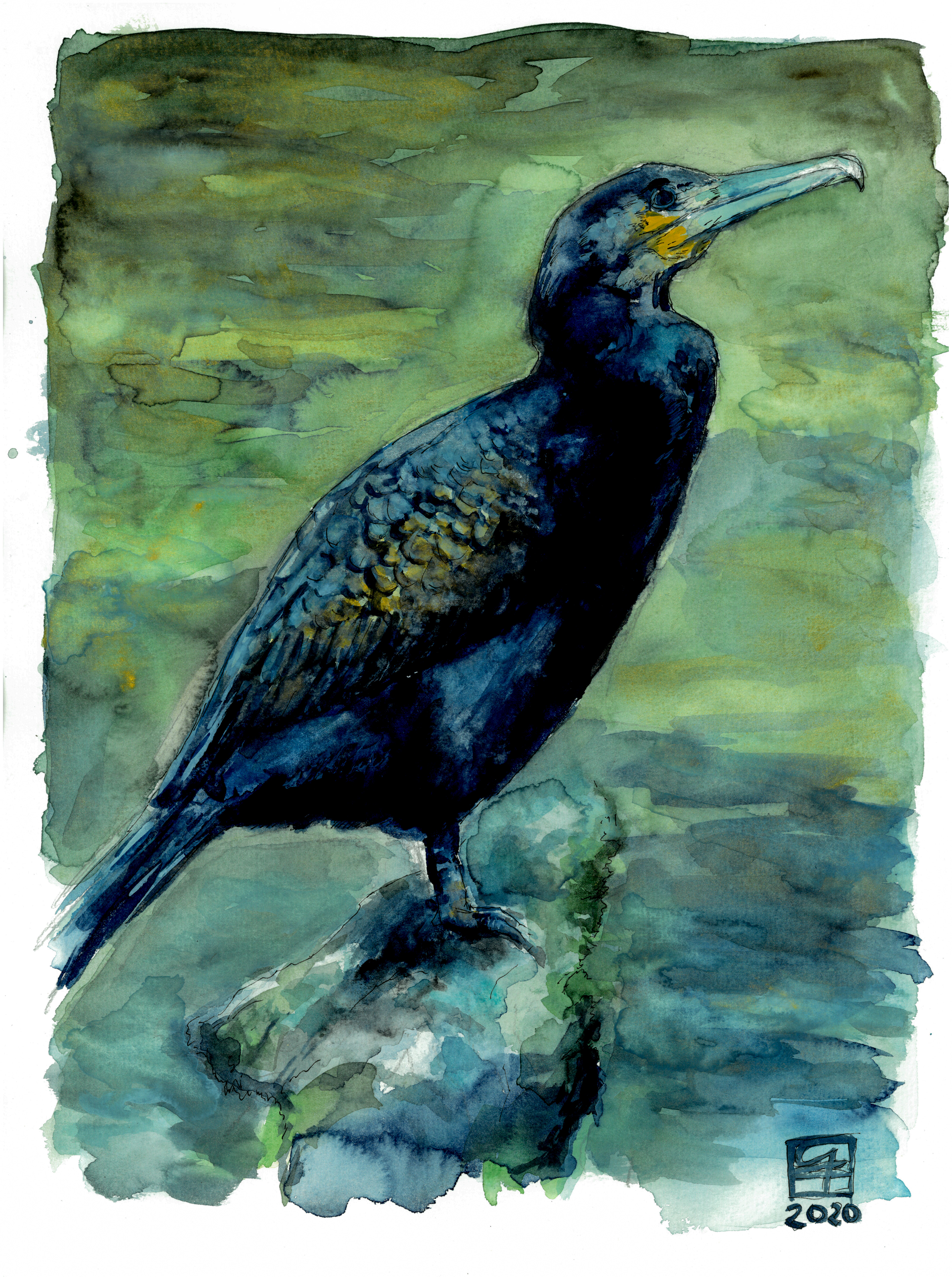 Krähenscharbe (40x30)