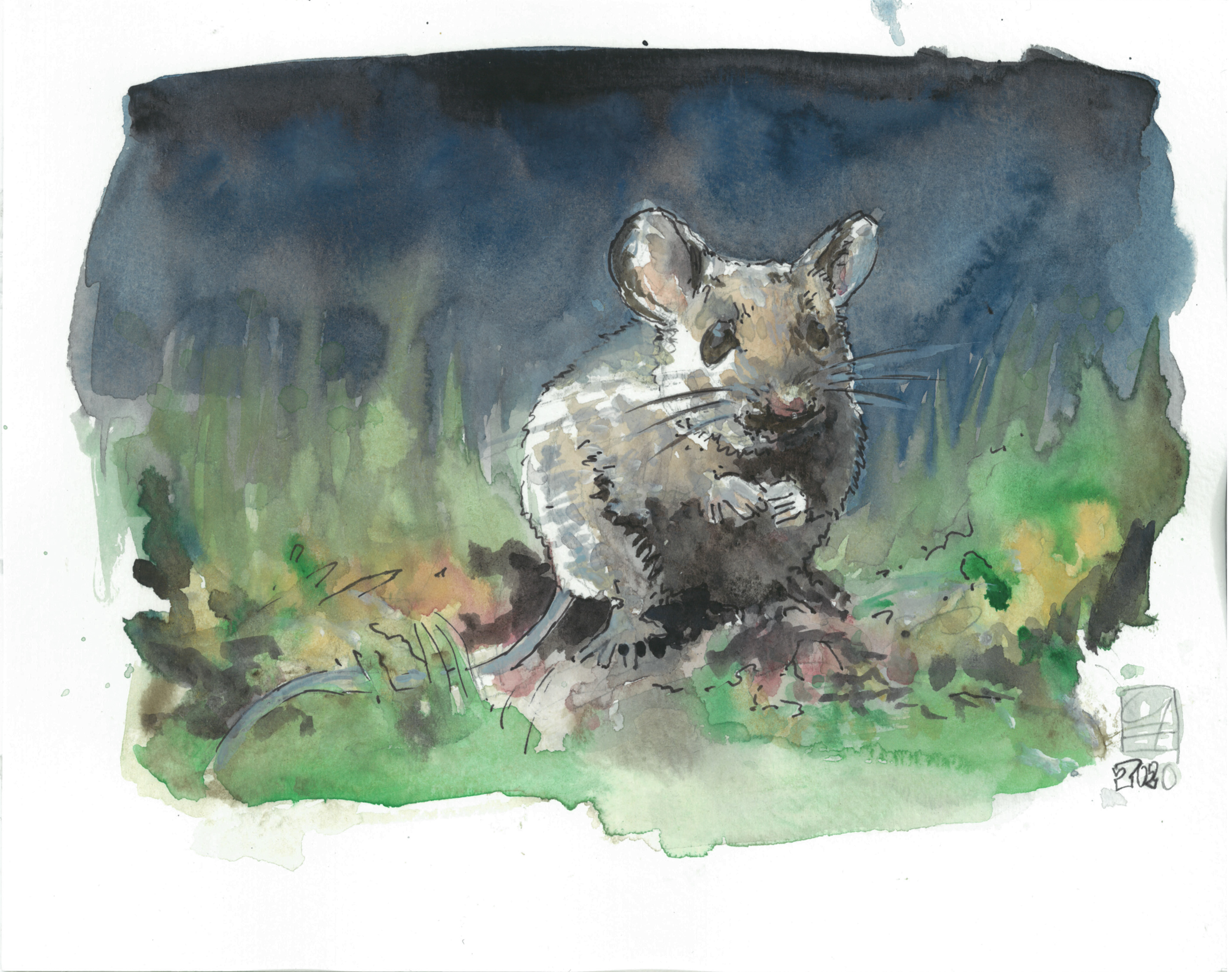 Maus (24x19) - verkauft