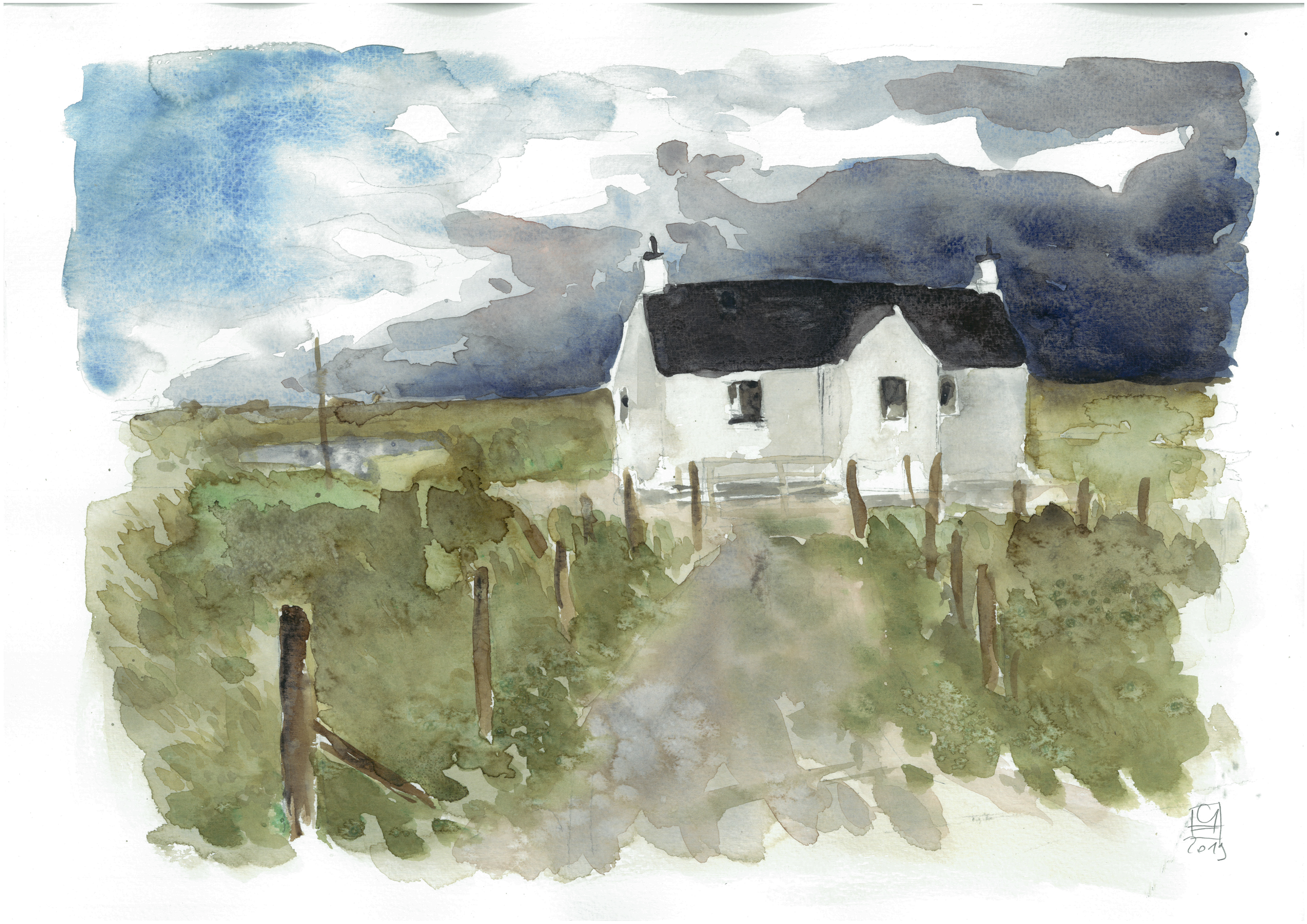 Harris (42x30)