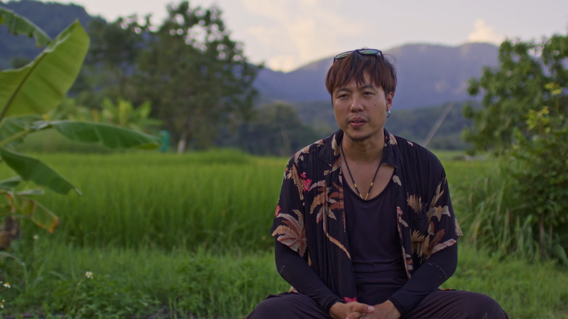 Bugs That Rule the World