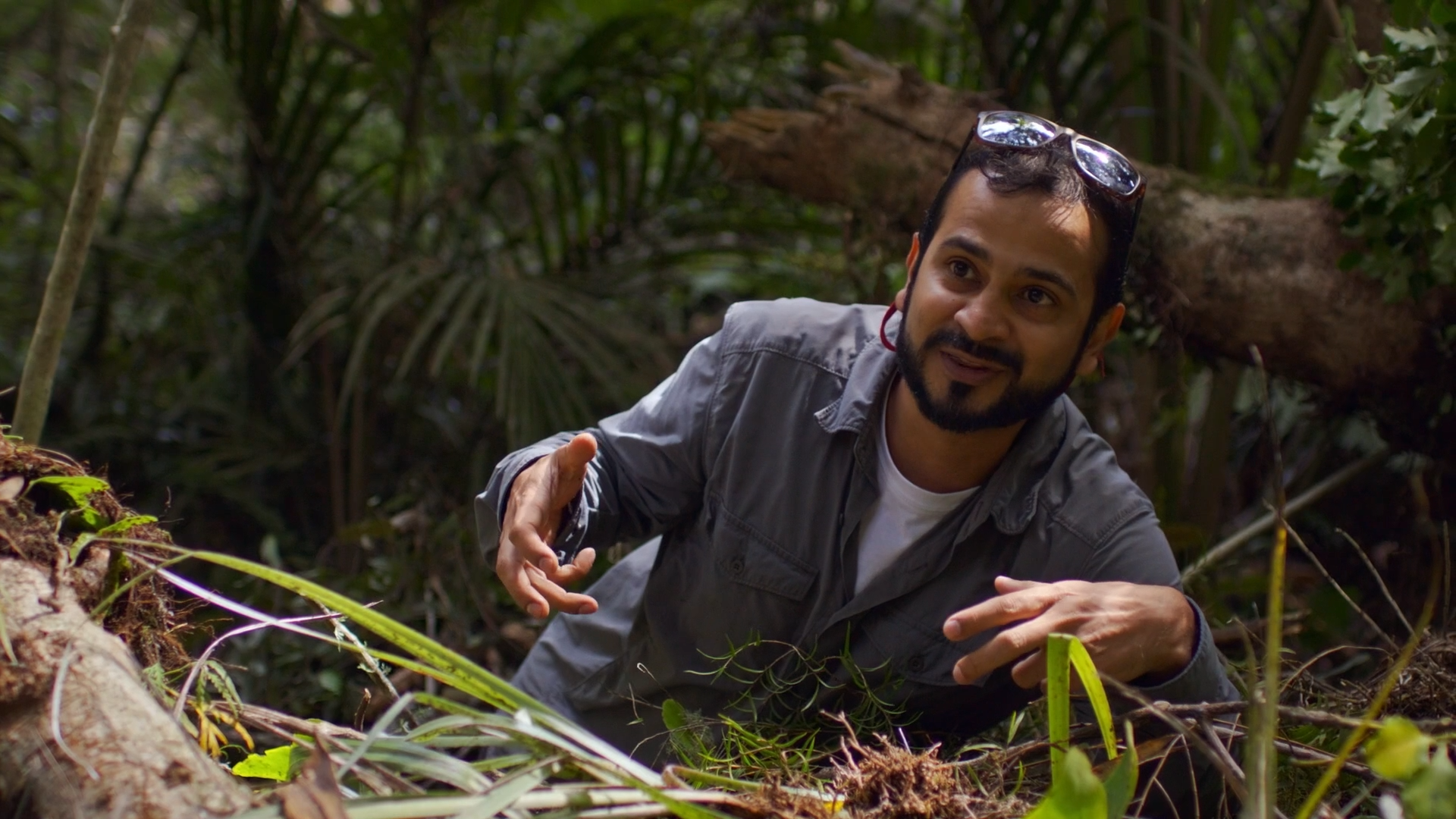 Bugs That Rule the World