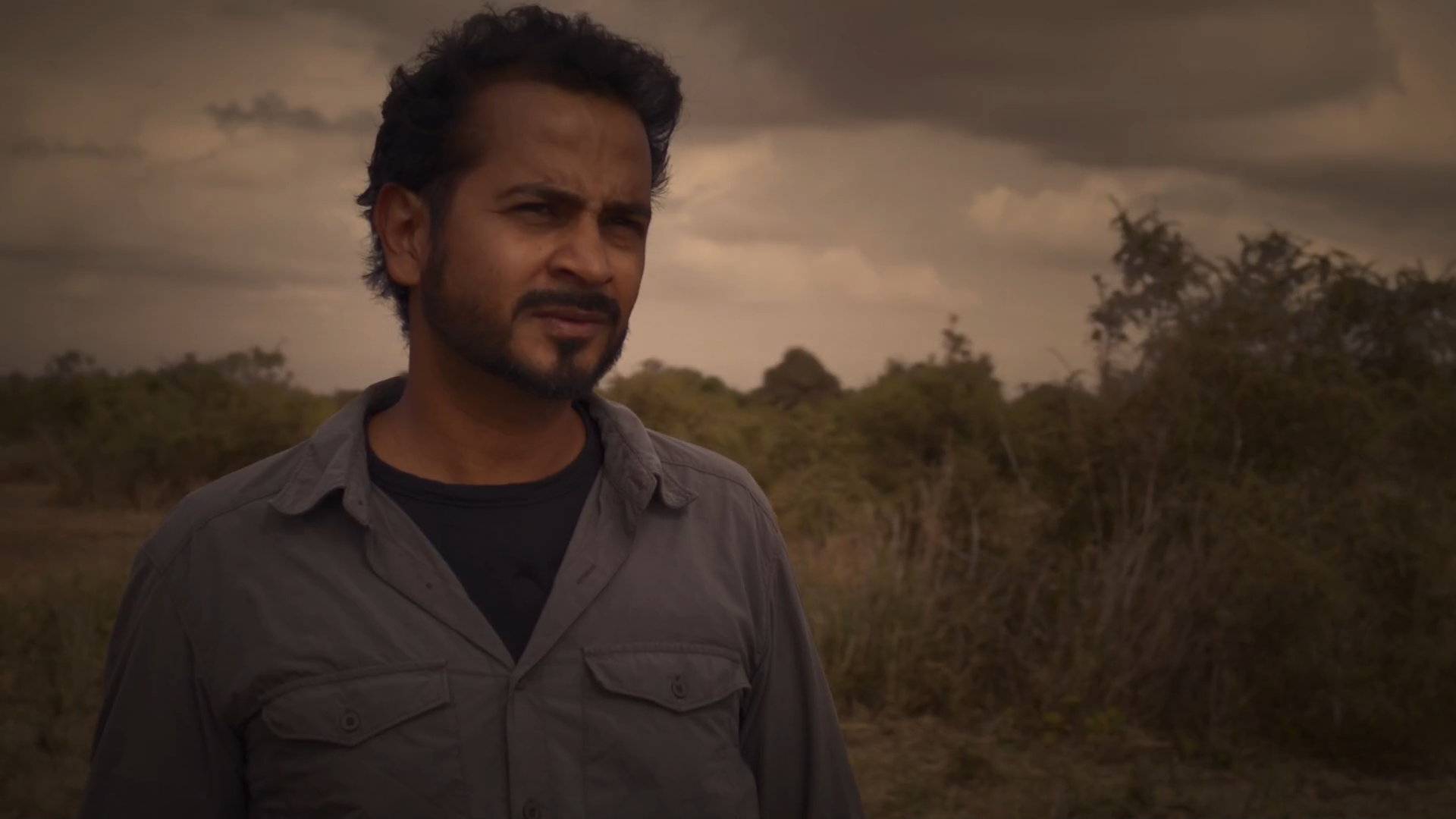 Bugs That Rule the World Episode 1