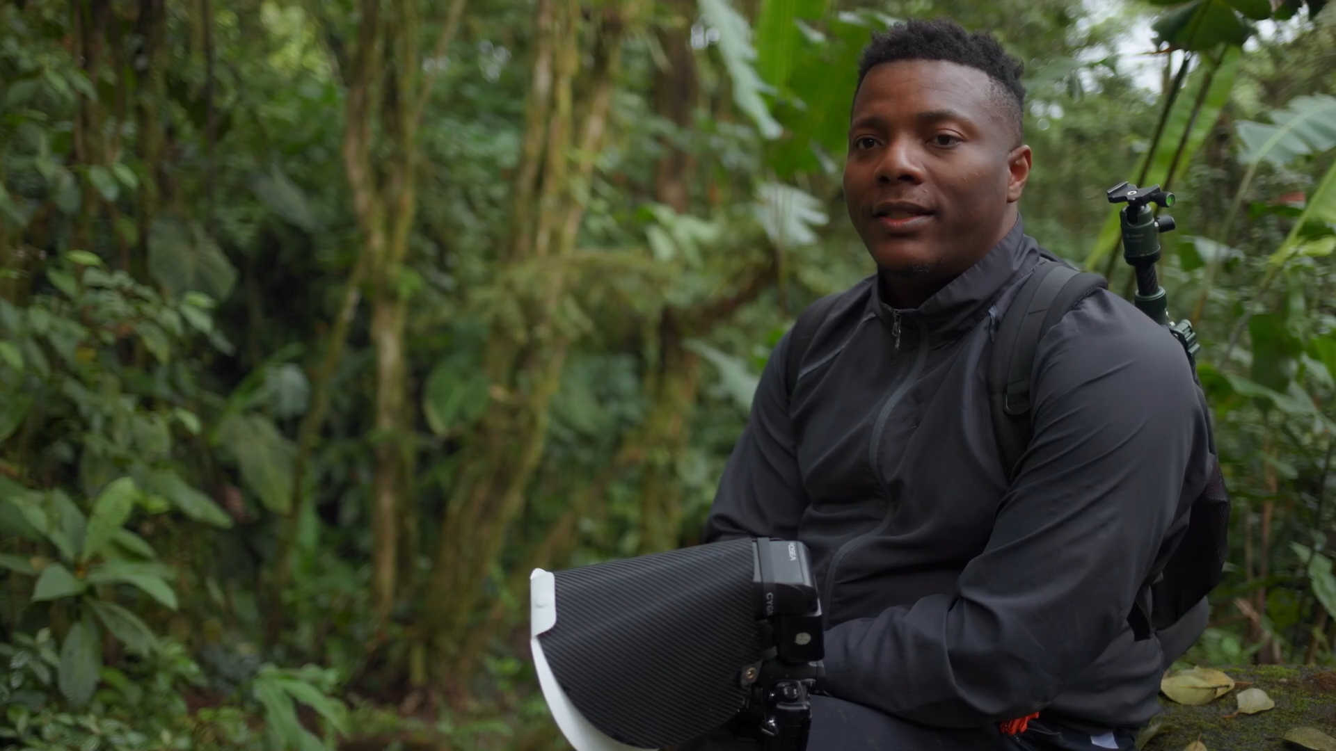 Bugs That Rule the World