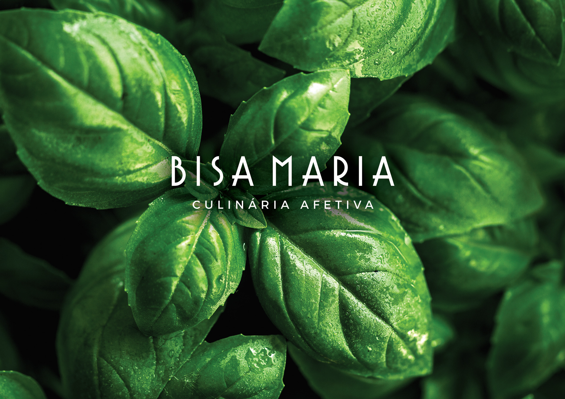 Capa opção B