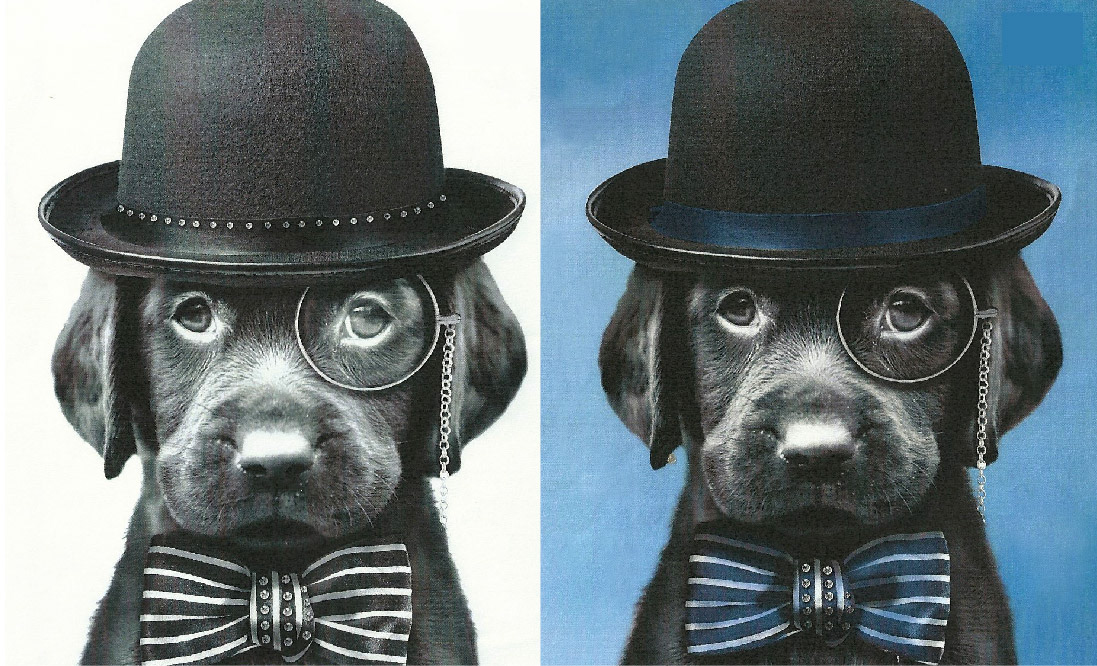 Versões preto e branco e tons de azul