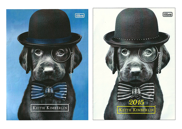 Capas com simulação de hot stamping aplicado