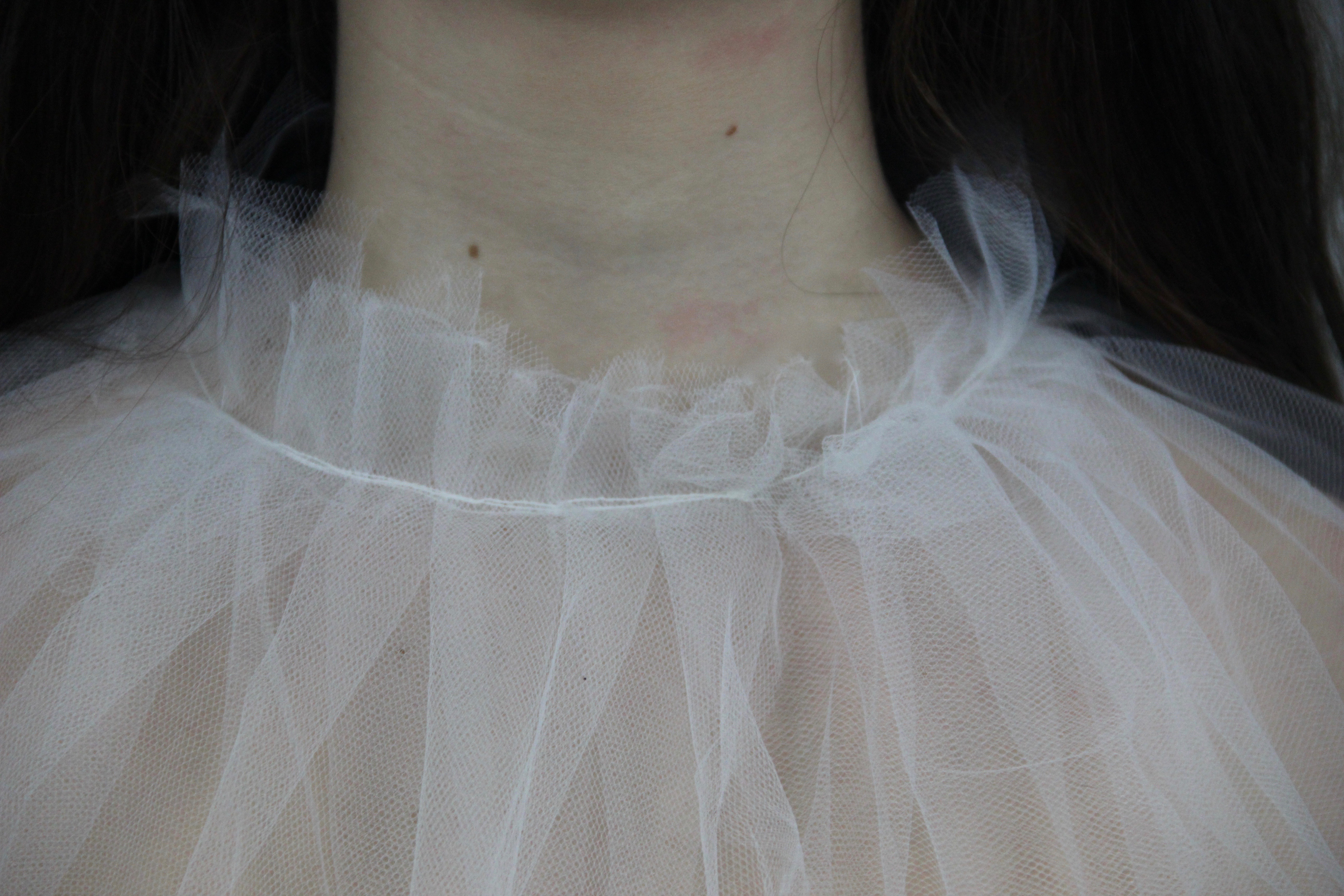 expérimentation_tulle_2019