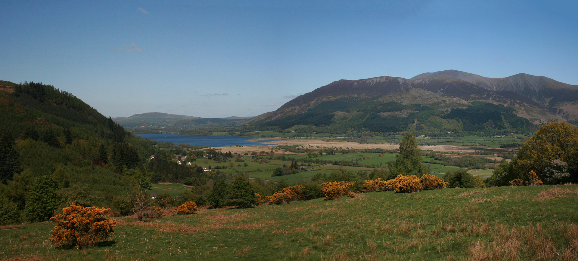 Dodds Wood from Whinlatter, 2009