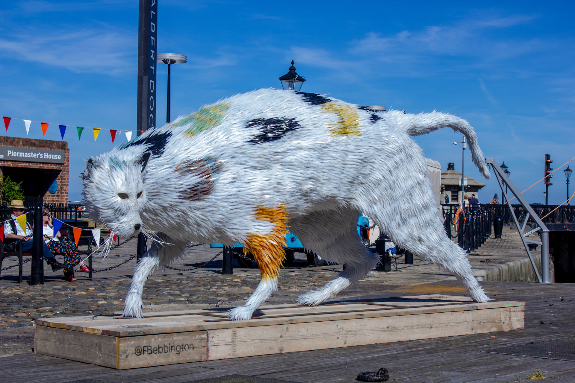 Feral cat, Albert Dock, 2018