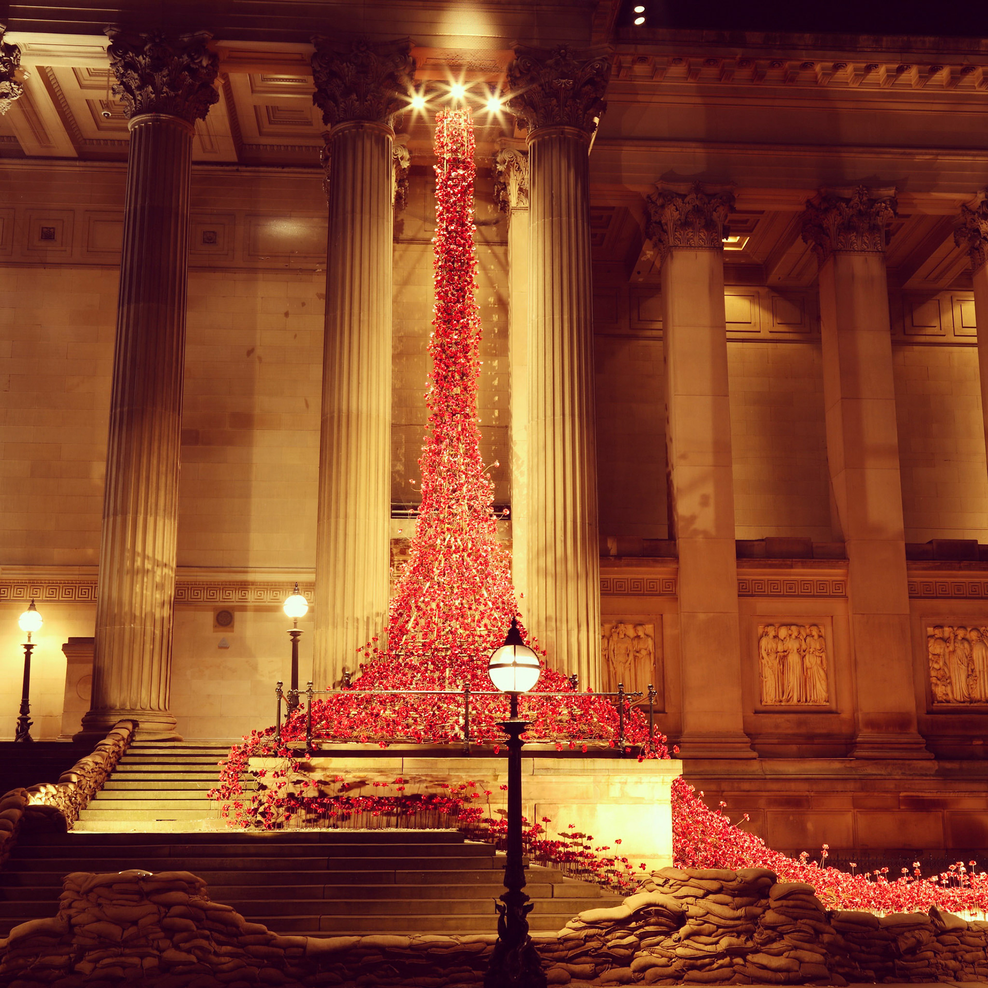Poppy Cascade, St George's Hall, 2015