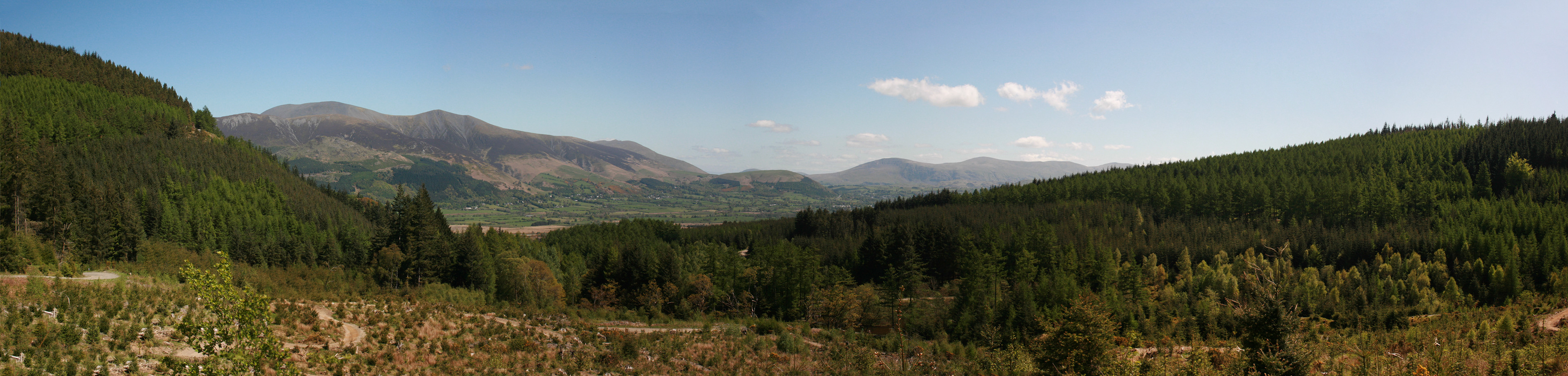 View from Whinlatter, 2009