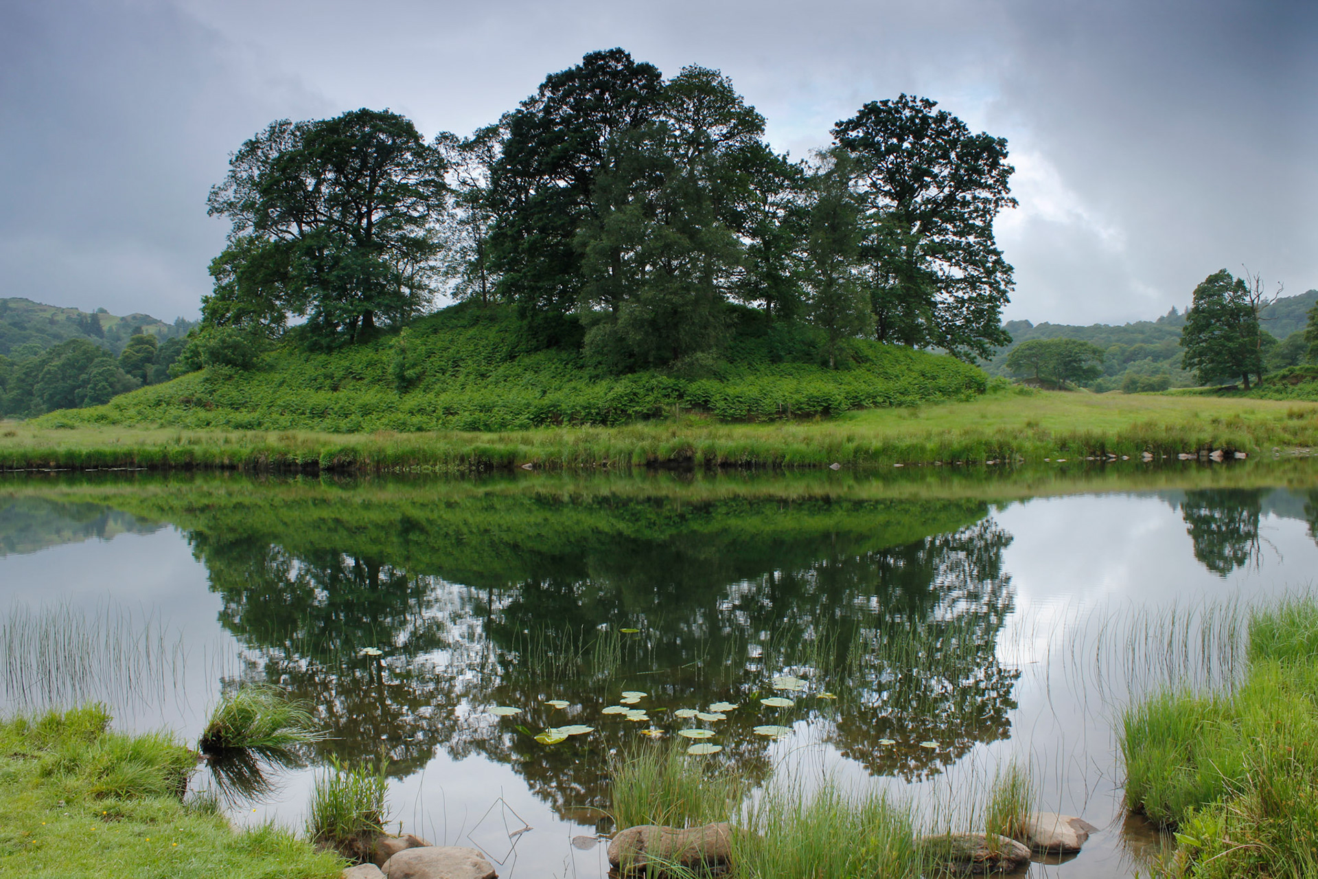 Trees at Brathay, 2015