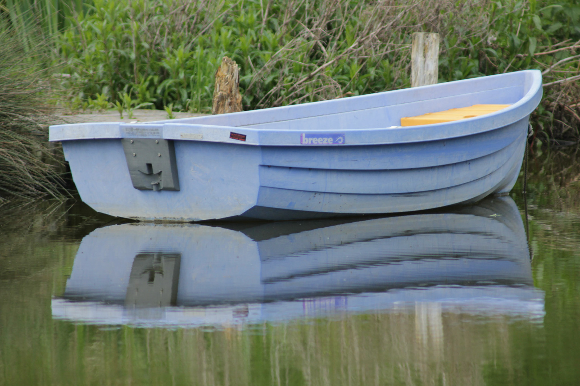 Mill pond reflection, Sussex, 2012