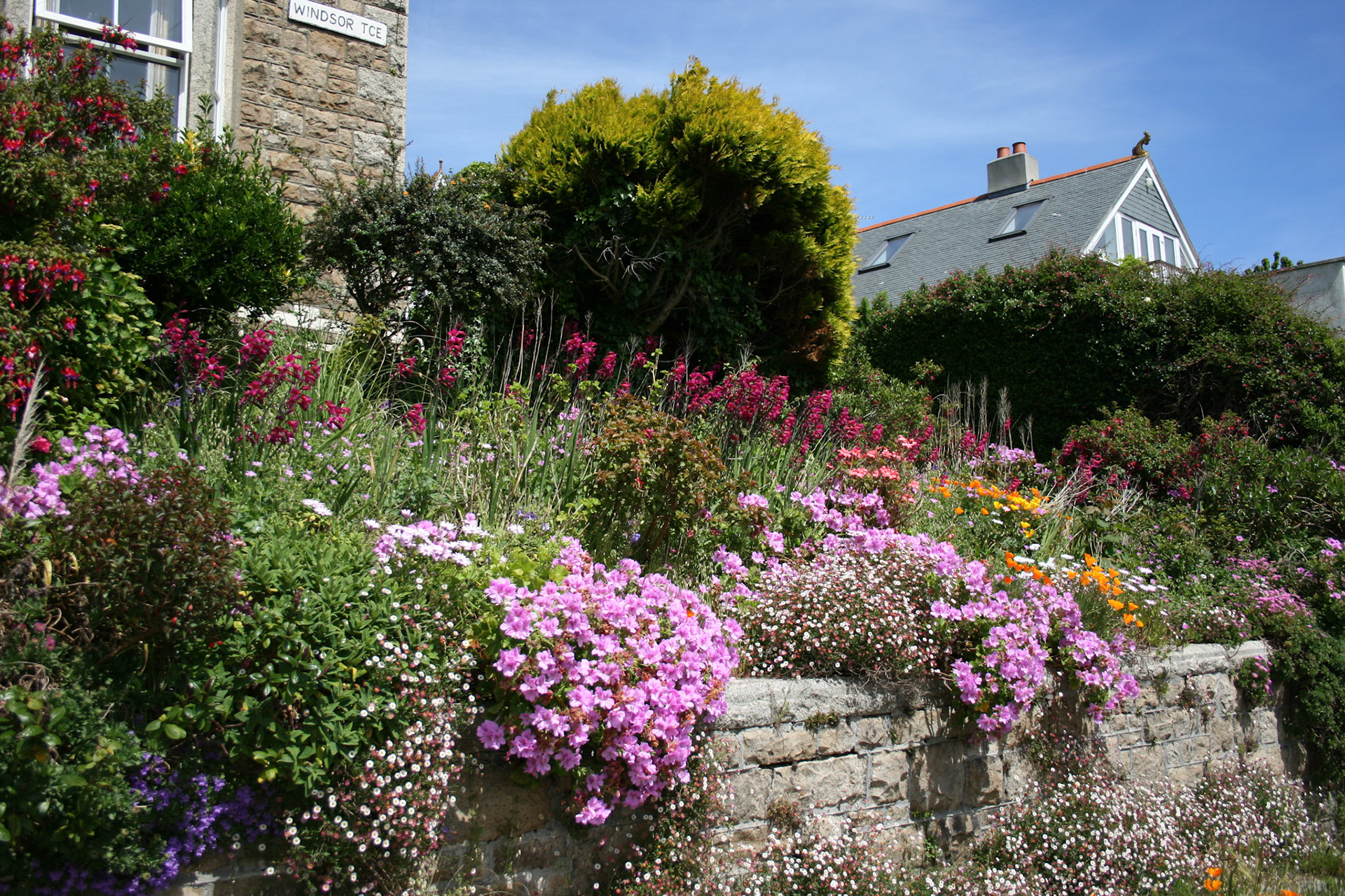 Colourful garden, St Ives, 2007