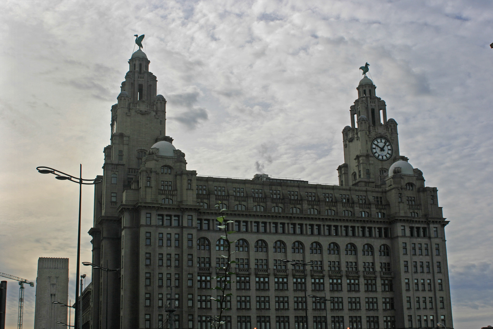 The Liver Building, 2009