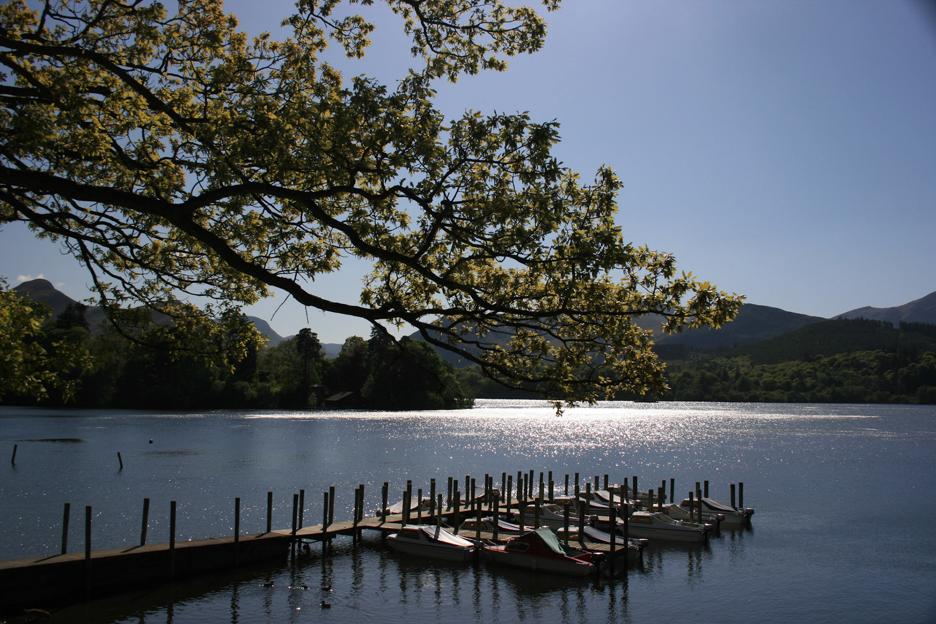 Derwent Isle, 2009