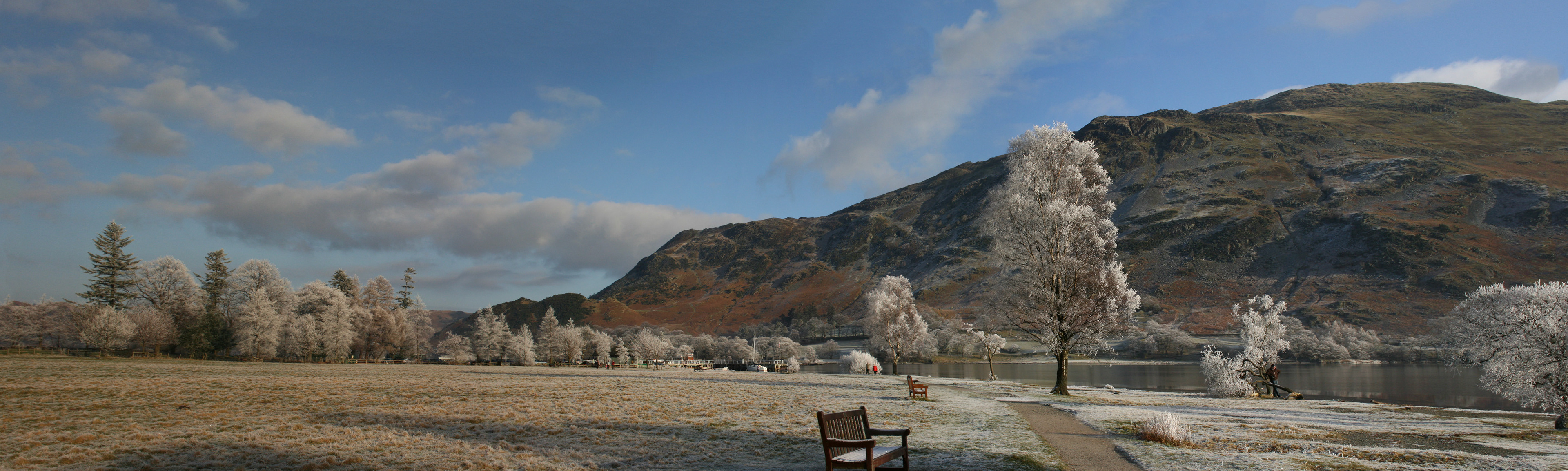 Frosted trees, Ullswater, New Years Day 2009
