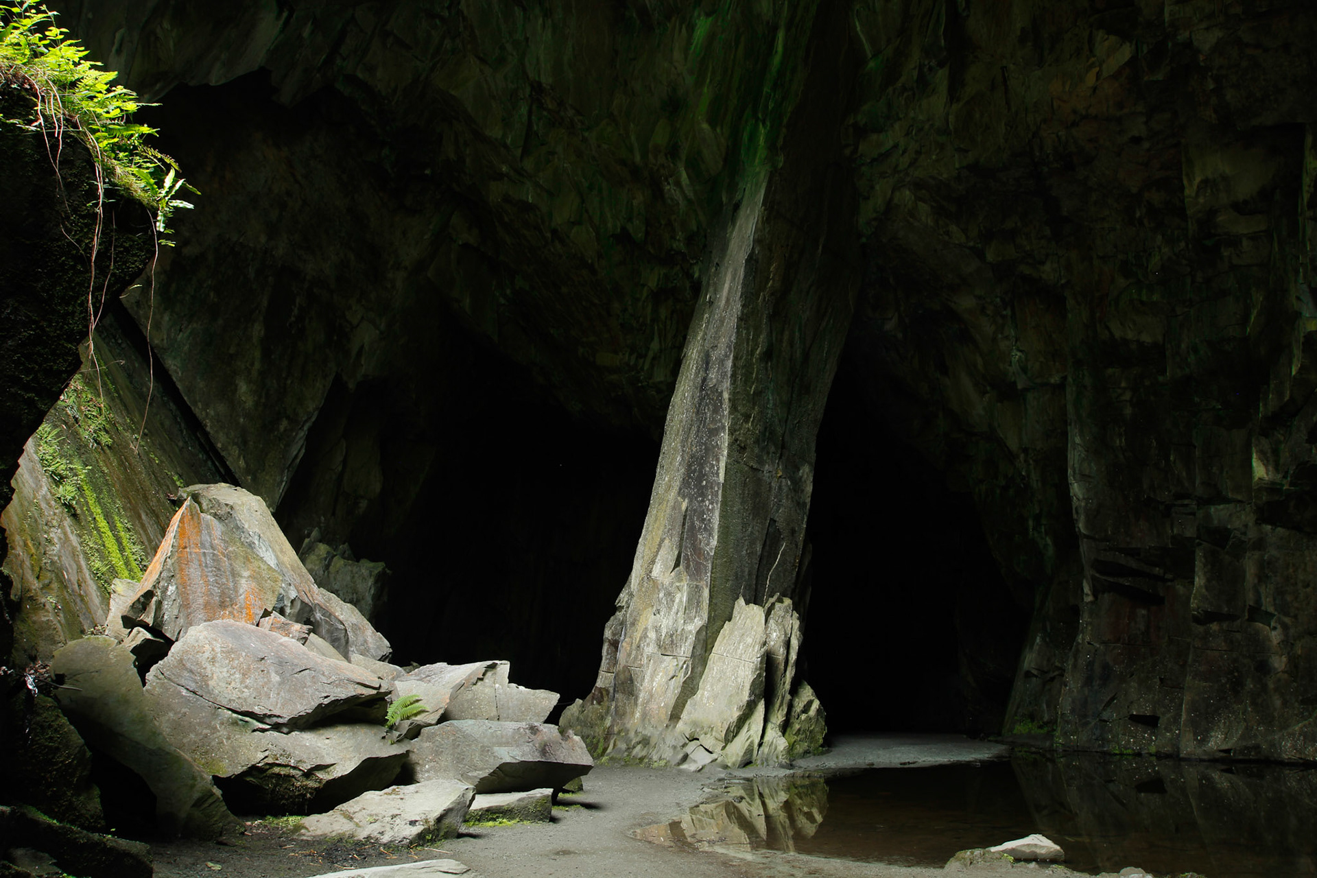 Cathedral Cave, 2015