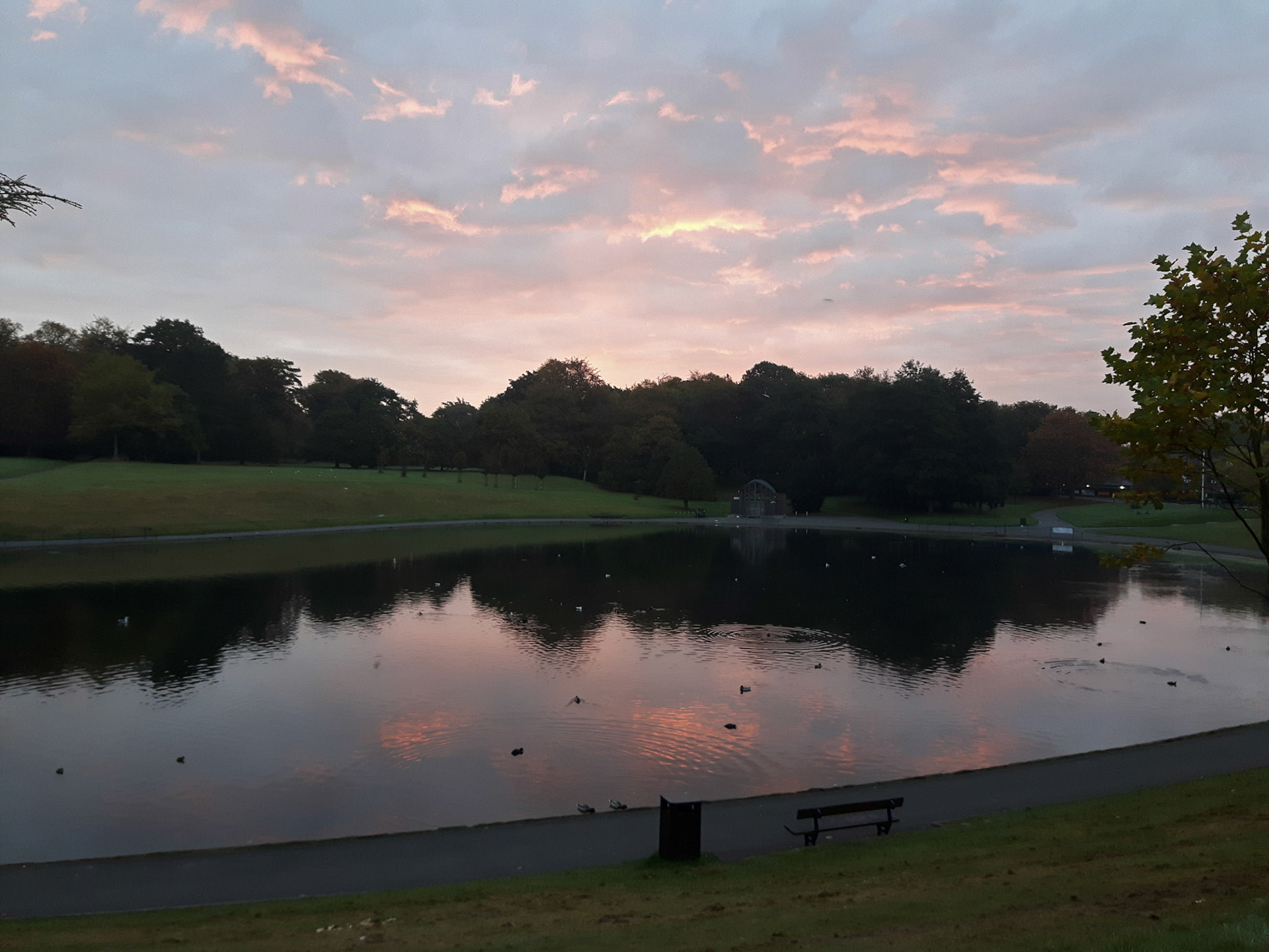 Sefton Park lake, 2016