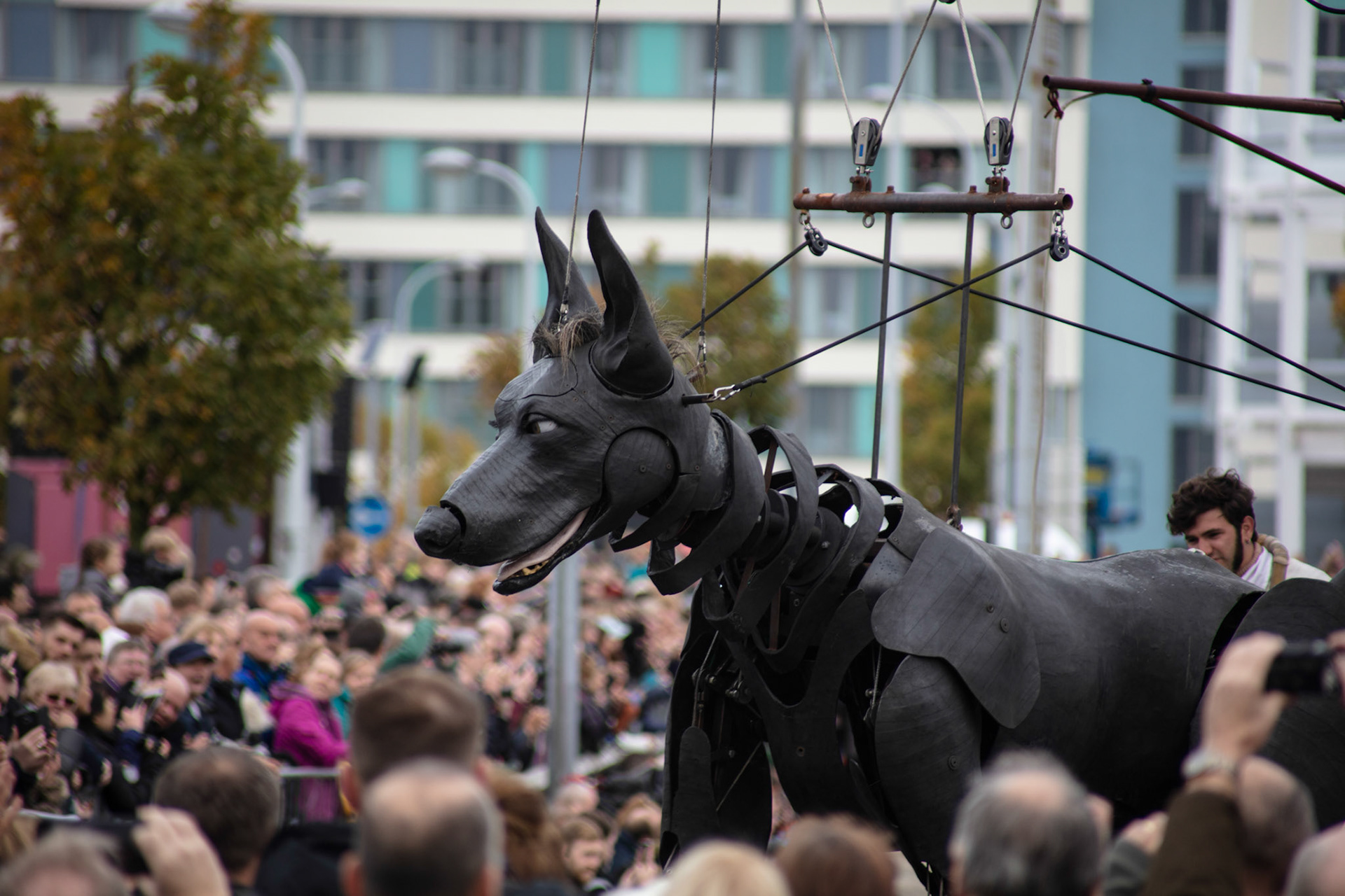 Hello Xolo, 2018