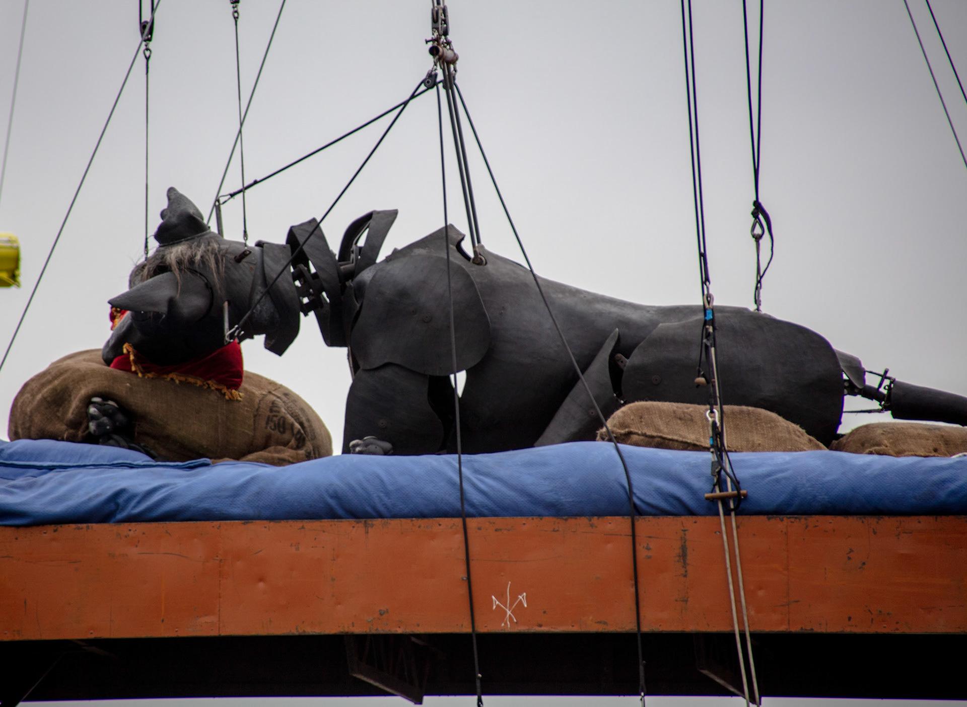 Xolo sleeping, 2018
