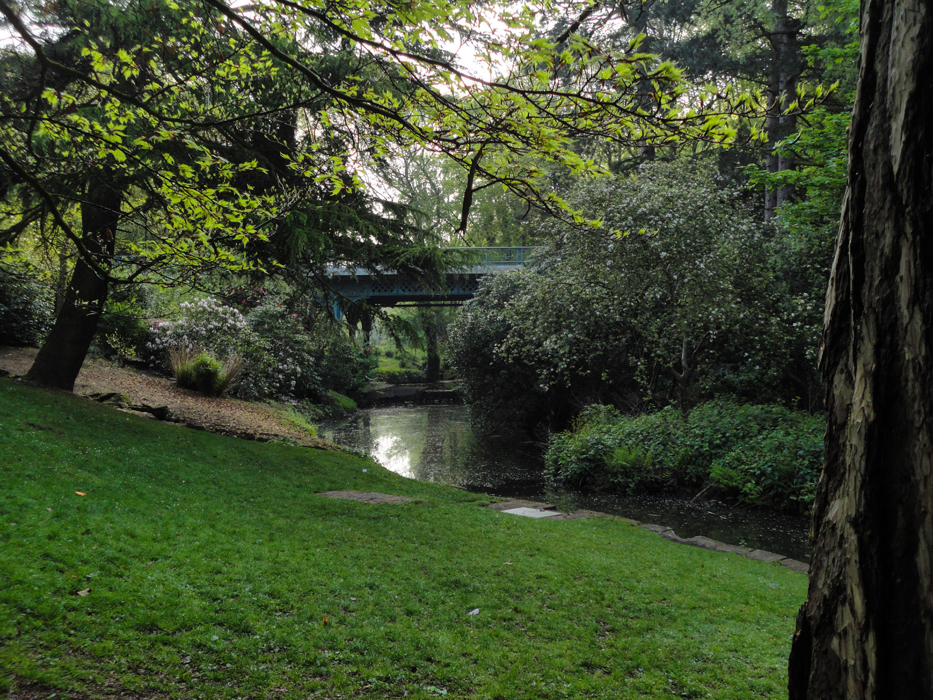 Sefton Park Fairy Glen, 2011