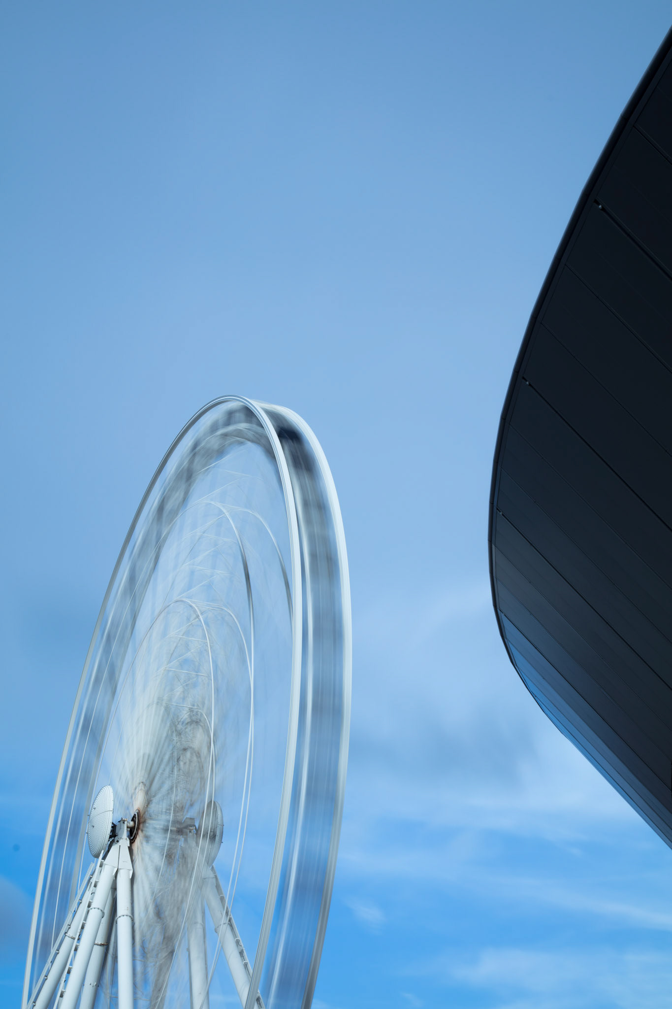 The Liverpool Eye, 2017